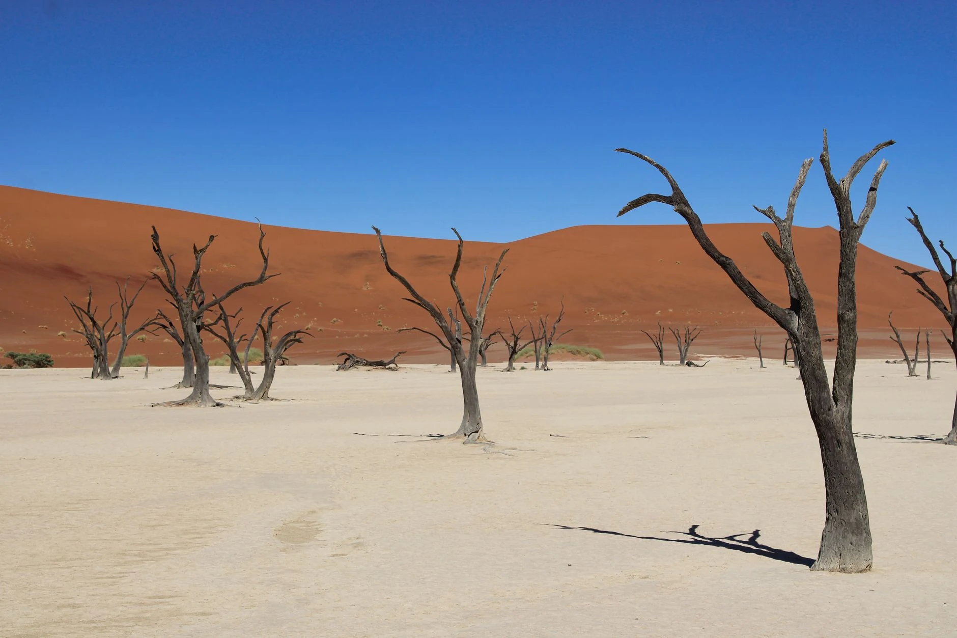 Pista arenosa de acceso hacia Deadvlei en el área de Sossusvlei.
