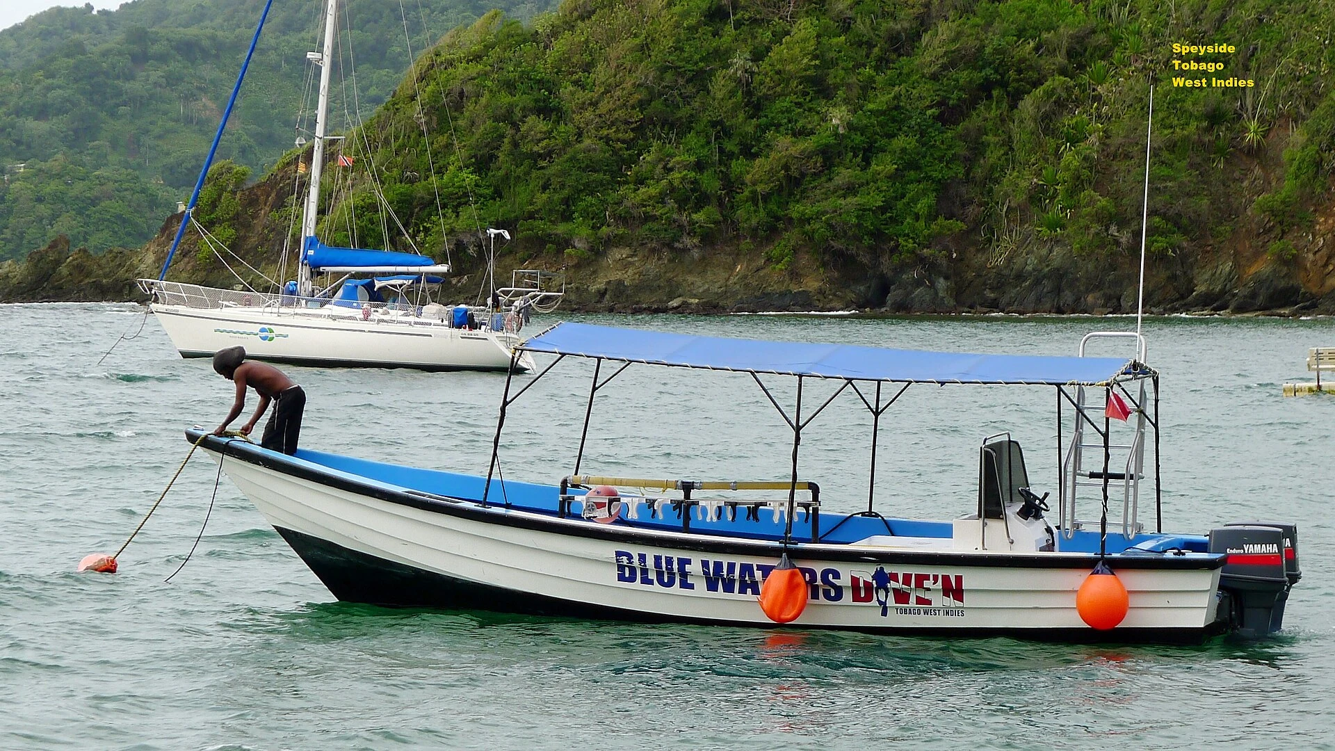 Barcos de pesca fondeados en la bahía de Speyside, Tobago.
