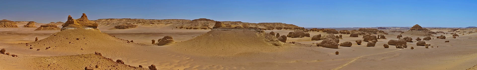 Detalle de restos fósiles de ballena conservados in situ en Wadi al-Hitan.