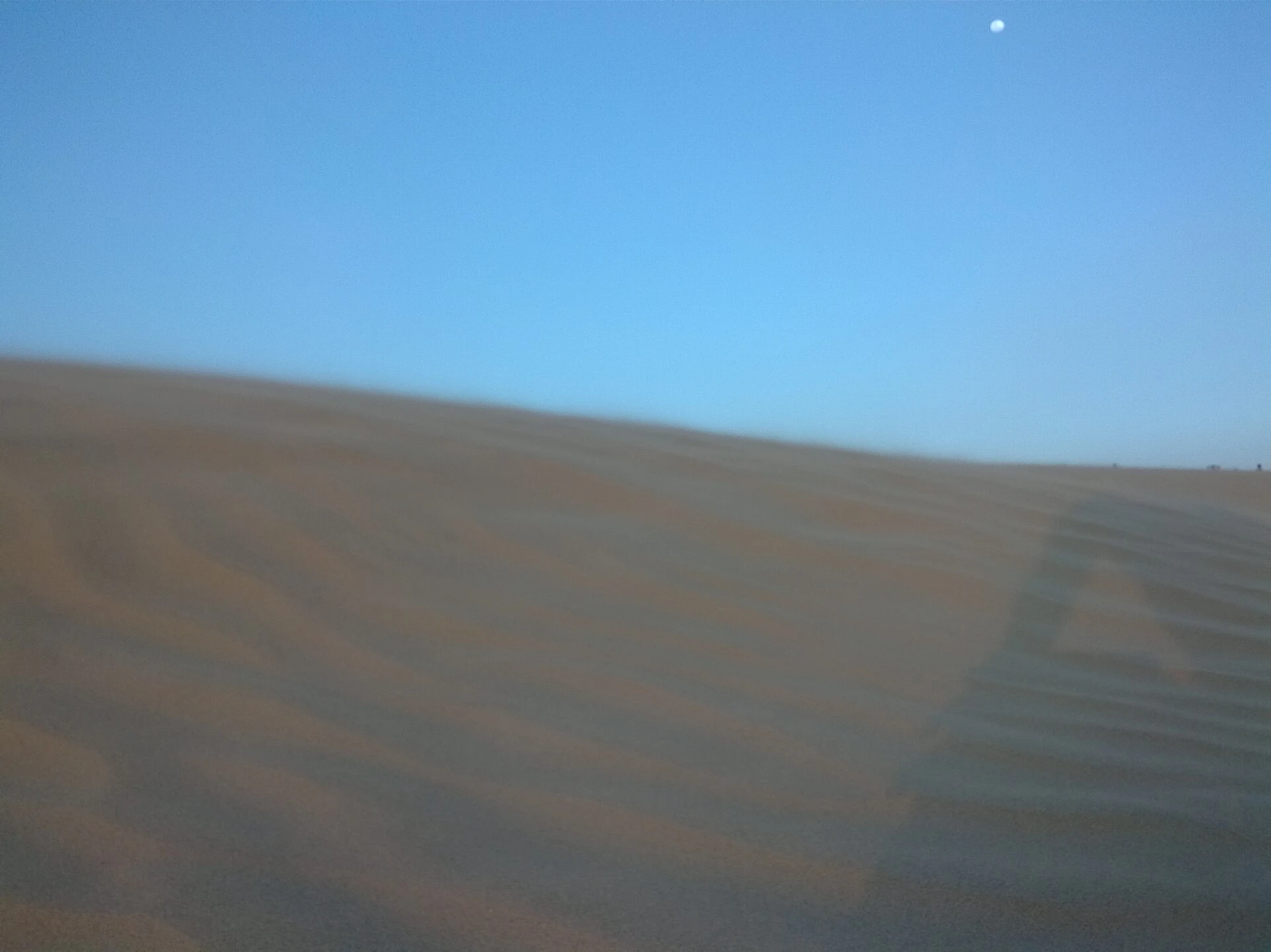 Dunas y vegetación seca en el Parque Nacional Médanos de Coro.