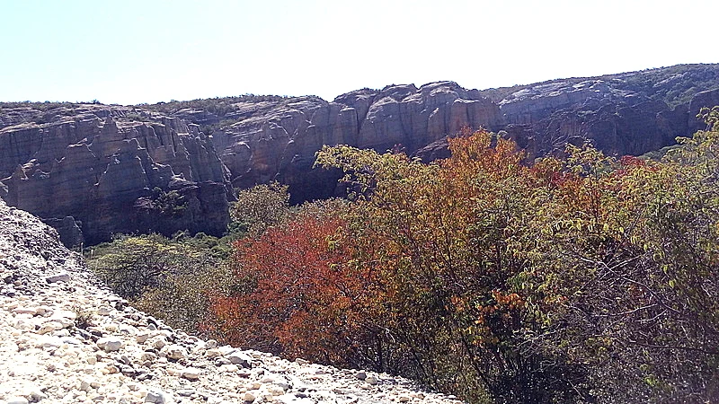 Pinturas rupestres en un abrigo rocoso de Serra da Capivara.