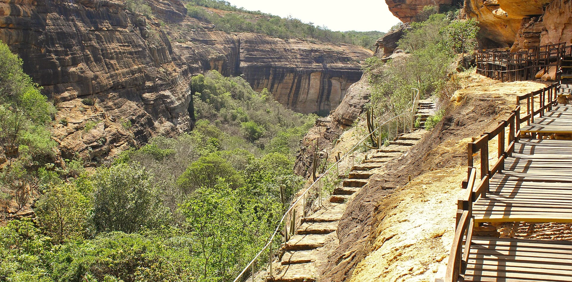Formaciones de arenisca y vegetación de caatinga en Serra da Capivara.