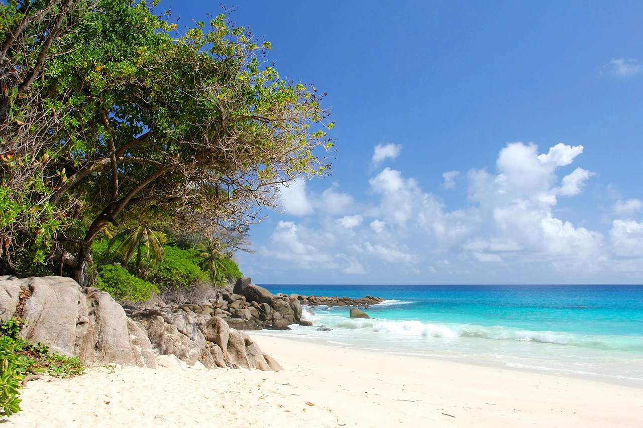 Paisaje insular genérico sobre el océano, usado como contexto visual y no como vista identificable de Seychelles.