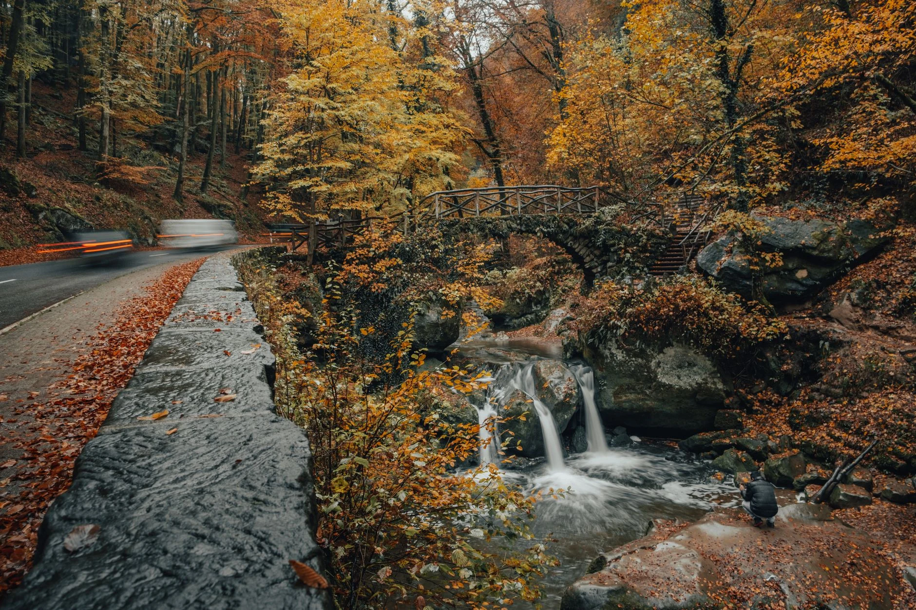 Arroyo y pasarela de madera en un valle boscoso de Müllerthal.