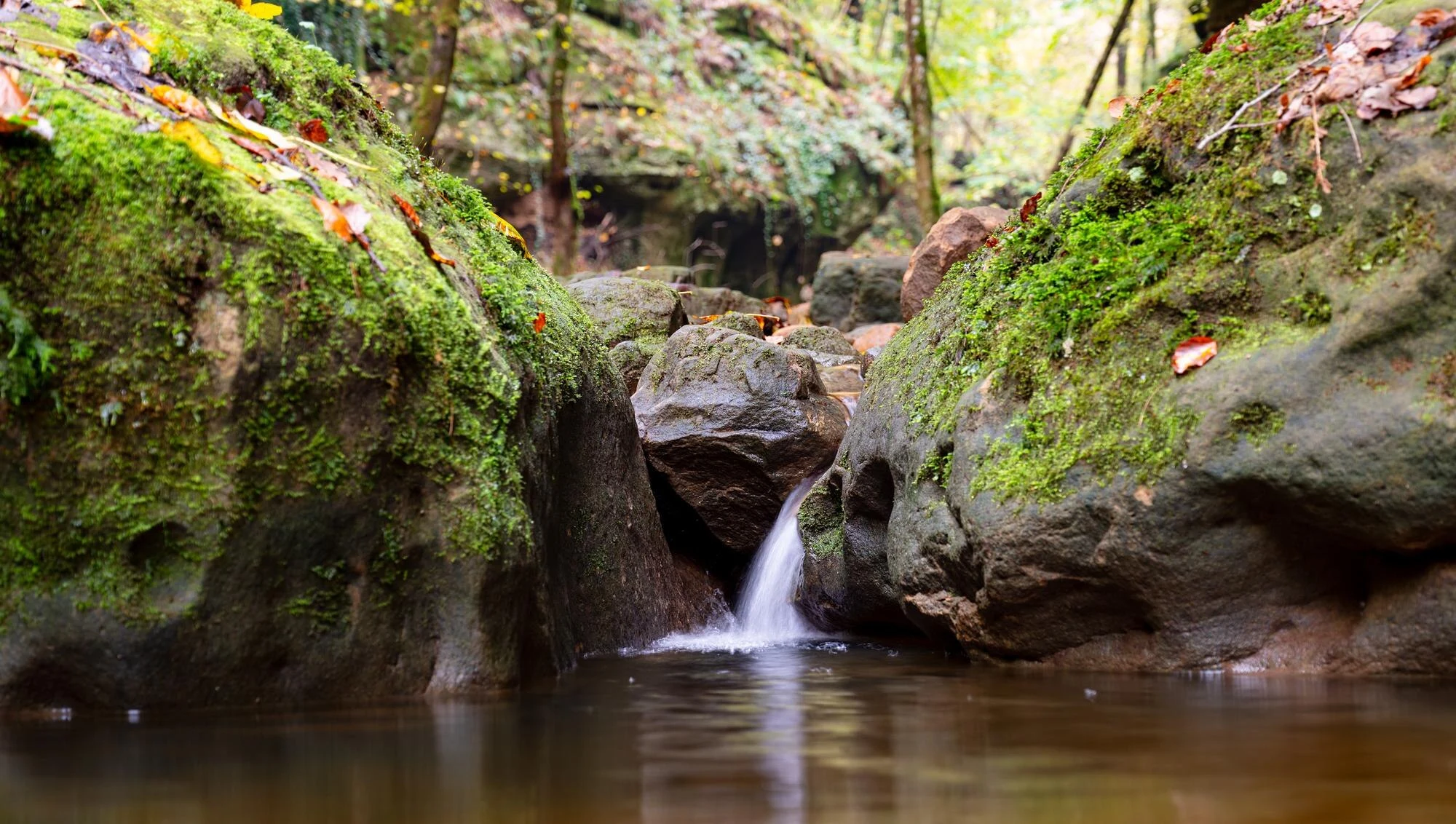 Escolher um percurso no Mullerthal Trail do Luxemburgo