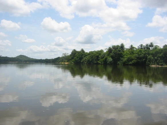 Barca en el río Moa junto al bosque de Tiwai Island.