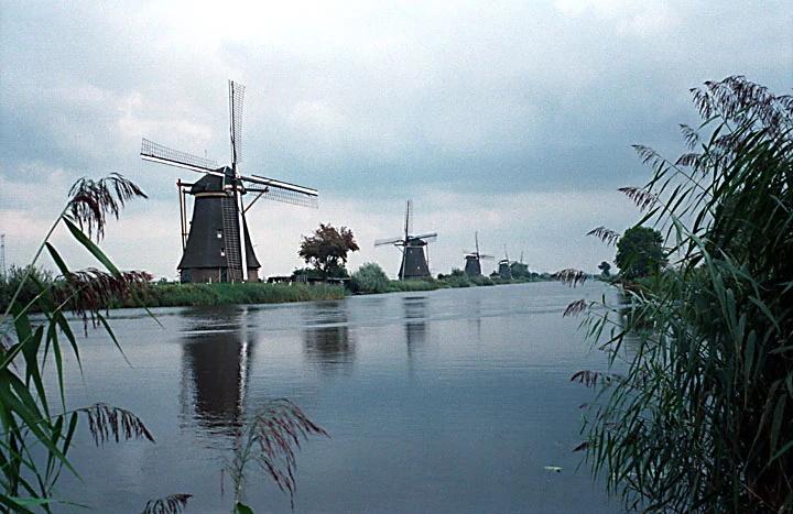 Molinos de Kinderdijk alineados junto a un canal y un dique