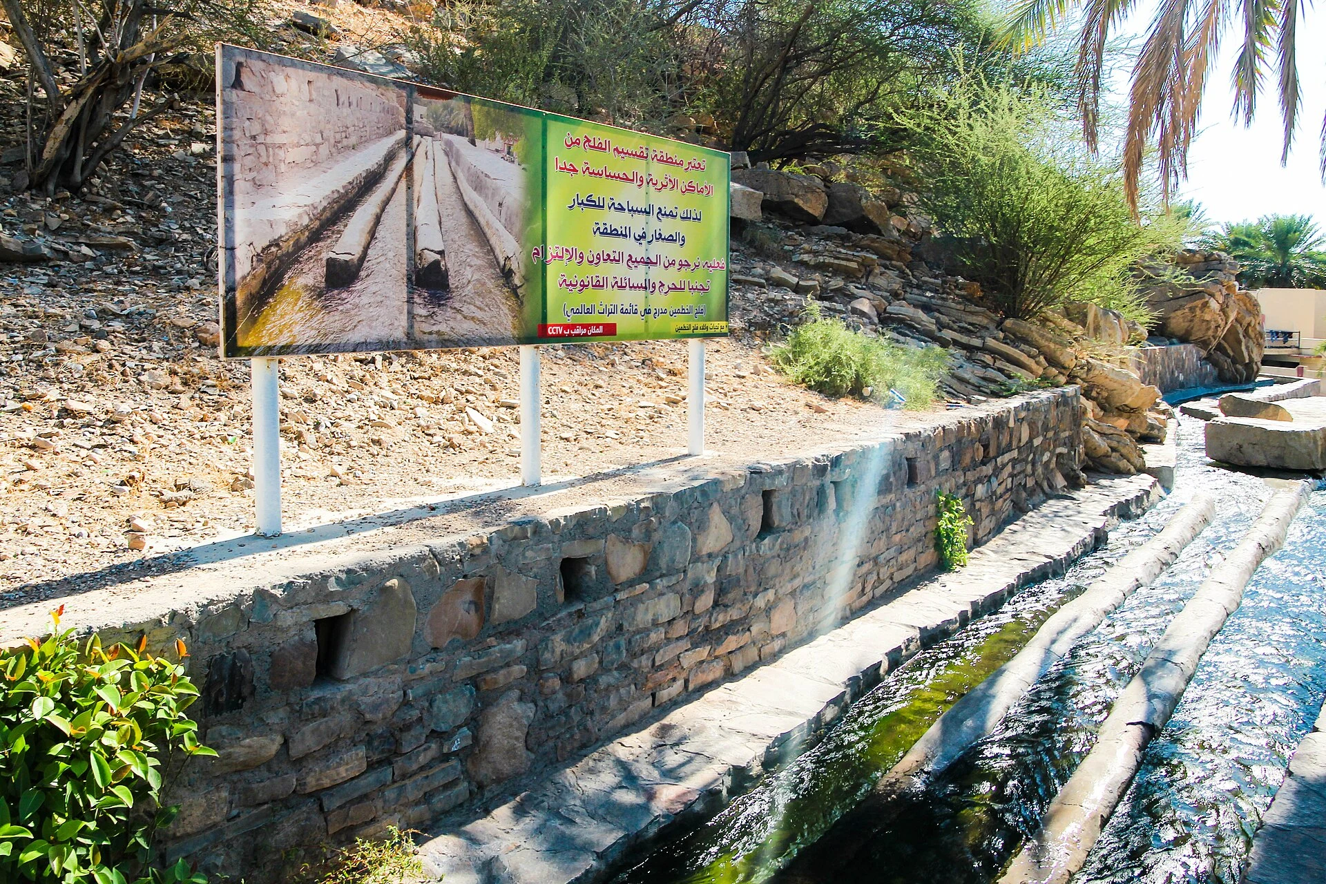 Canal del falaj Al-Khatmayn entre palmeras en Birkat Al Mouz, Omán.
