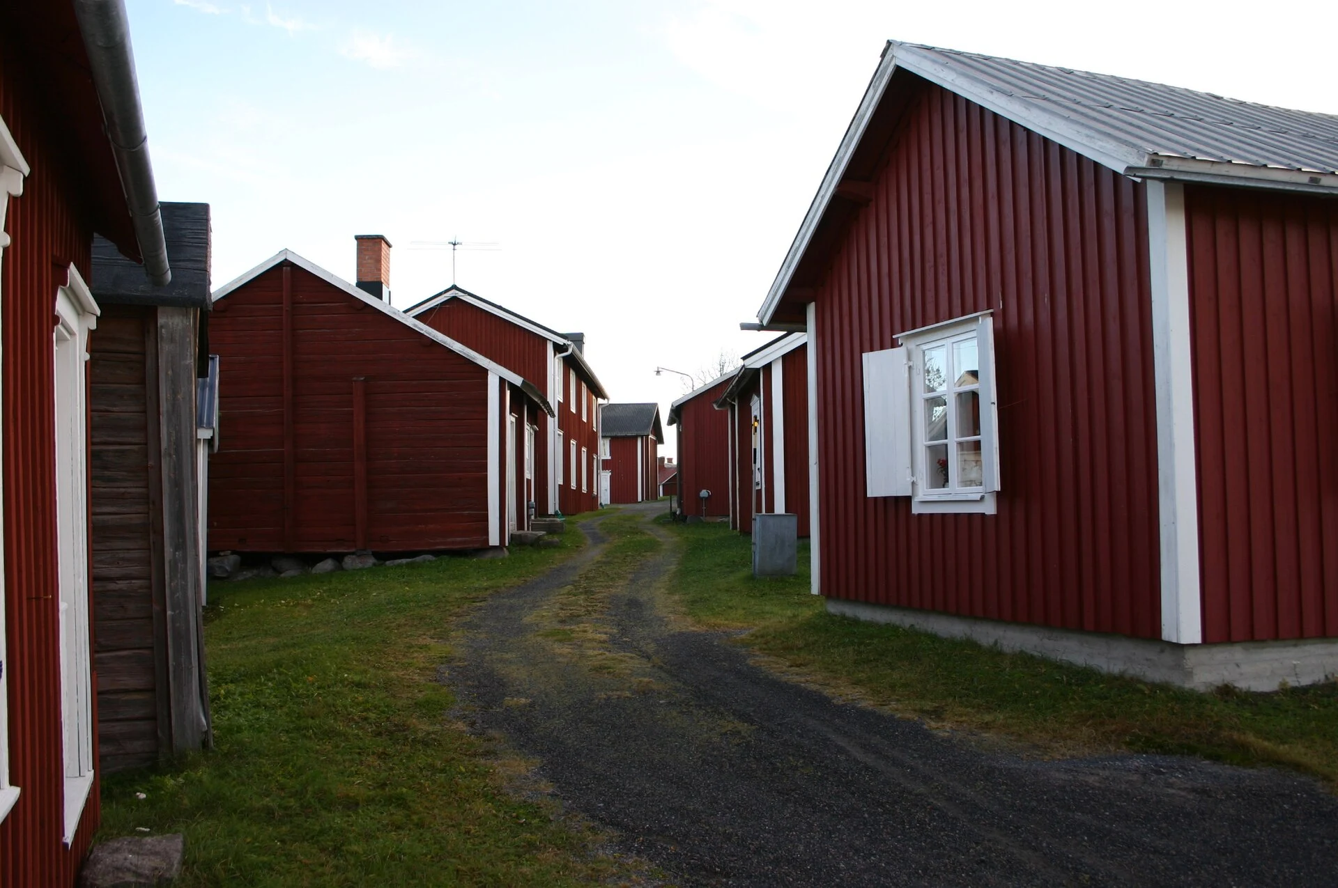 Edificio rural tradicional y ovejas en el museo al aire libre Hägnan de Gammelstad.