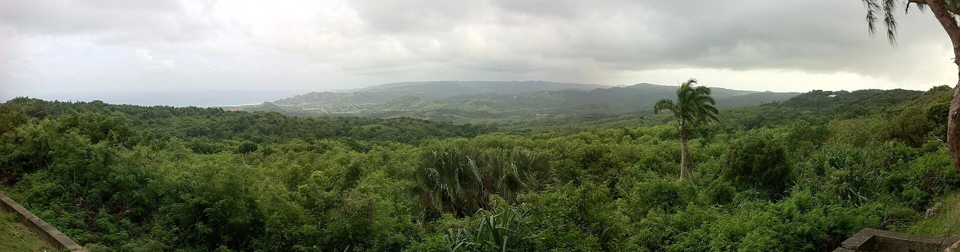 Colinas verdes y relieve plegado del Scotland District en Barbados