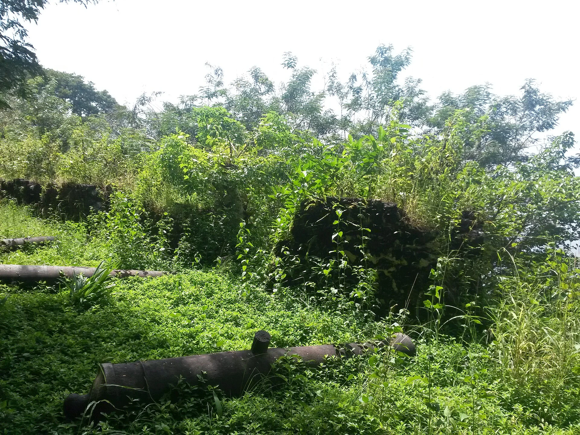 Vista amplia de las ruinas de Bunce Island entre la vegetación y el estuario del río Sierra Leona.