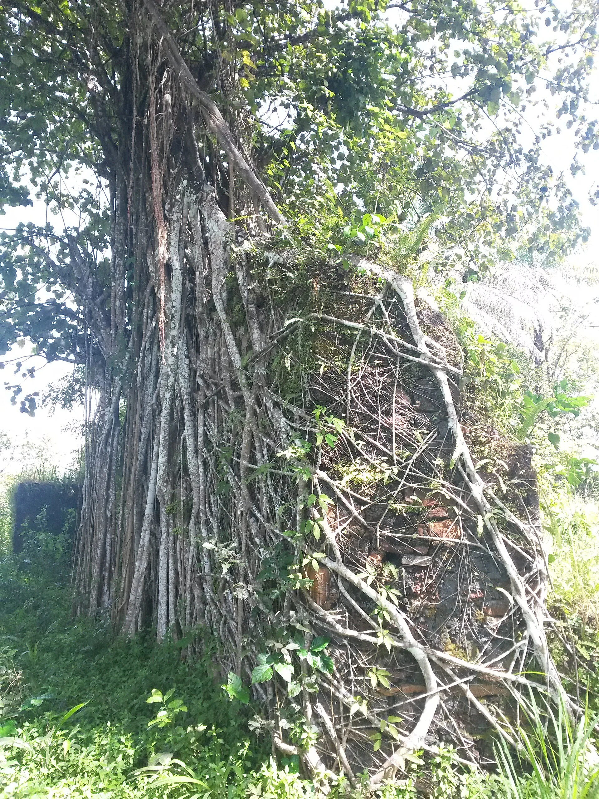 Embarcación pequeña en el estuario del río Sierra Leona durante la aproximación a Bunce Island.