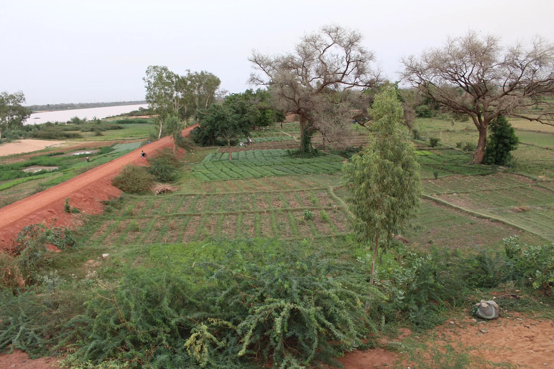 Río Niger junto a Niamey.