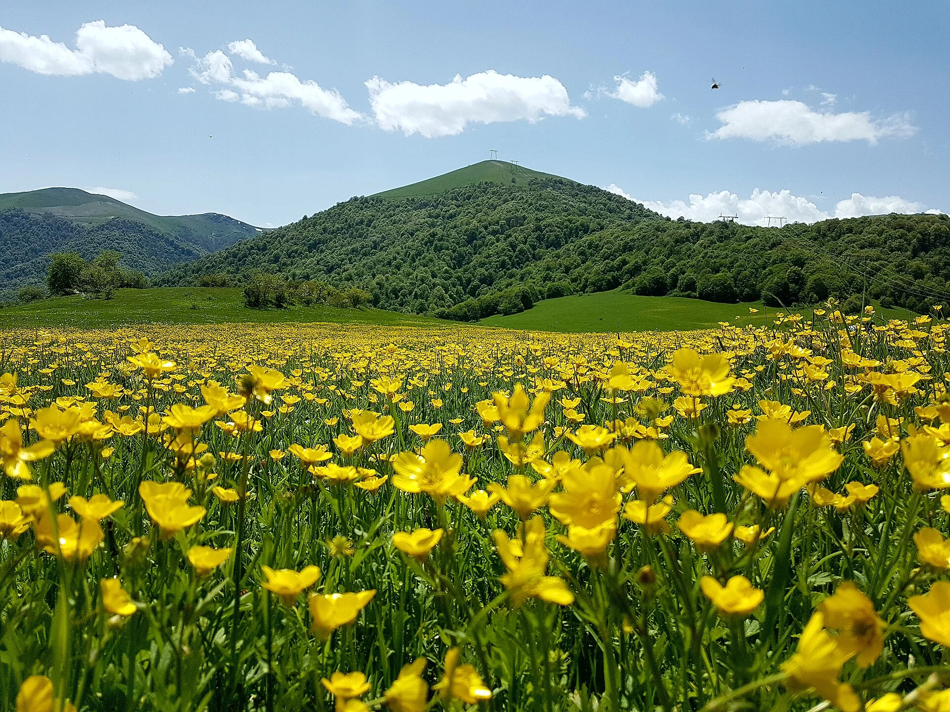 Sendero señalizado entre árboles en el Parque Nacional de Dilijan, Armenia.