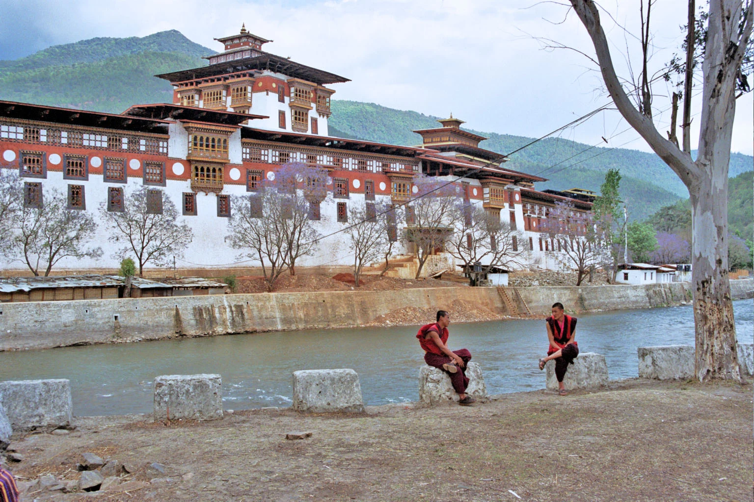 Khamsum Yulley Namgyal Chorten sobre los campos del valle de Punakha.
