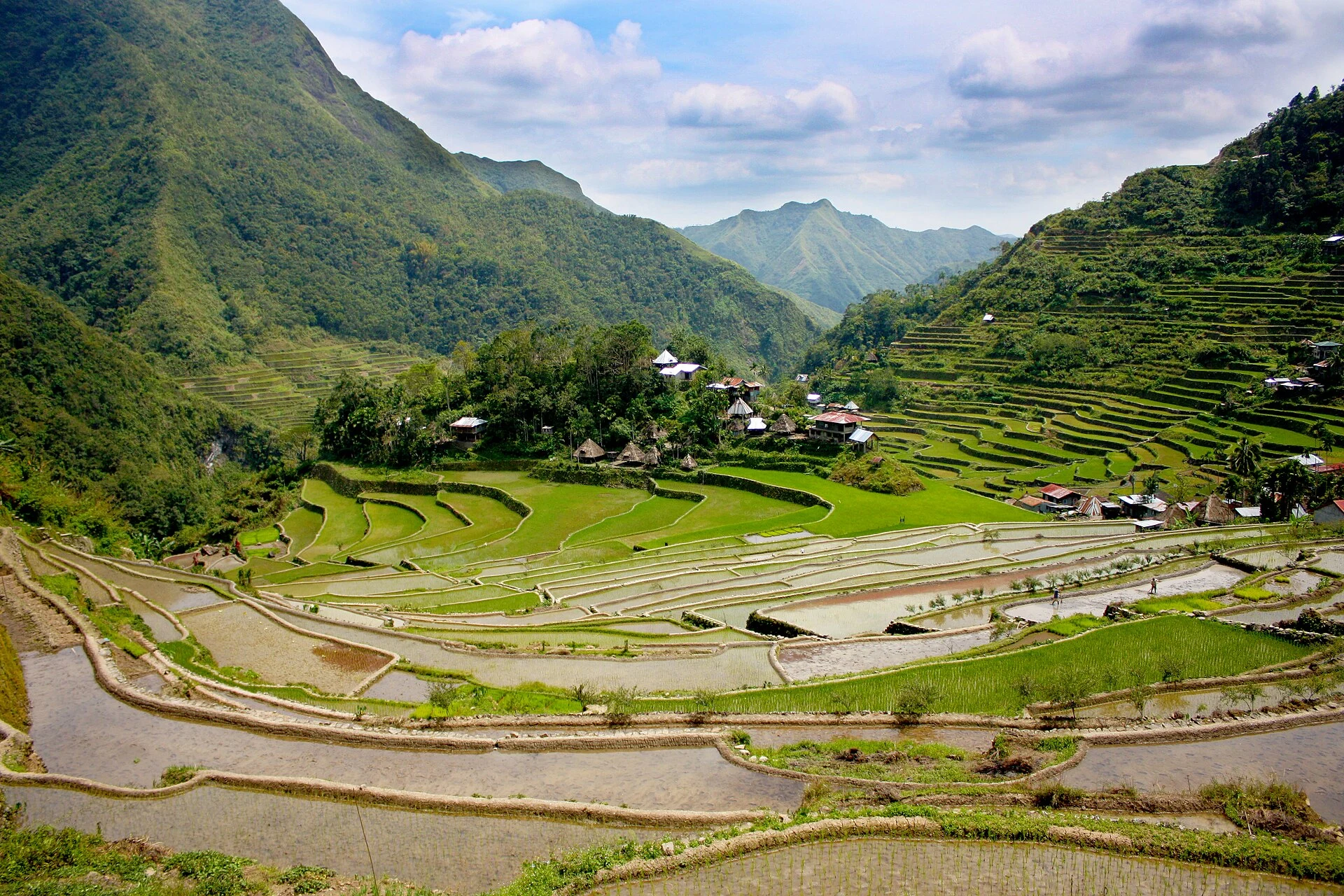 Terrazas de arroz en forma de anfiteatro alrededor de la aldea de Batad, Ifugao.