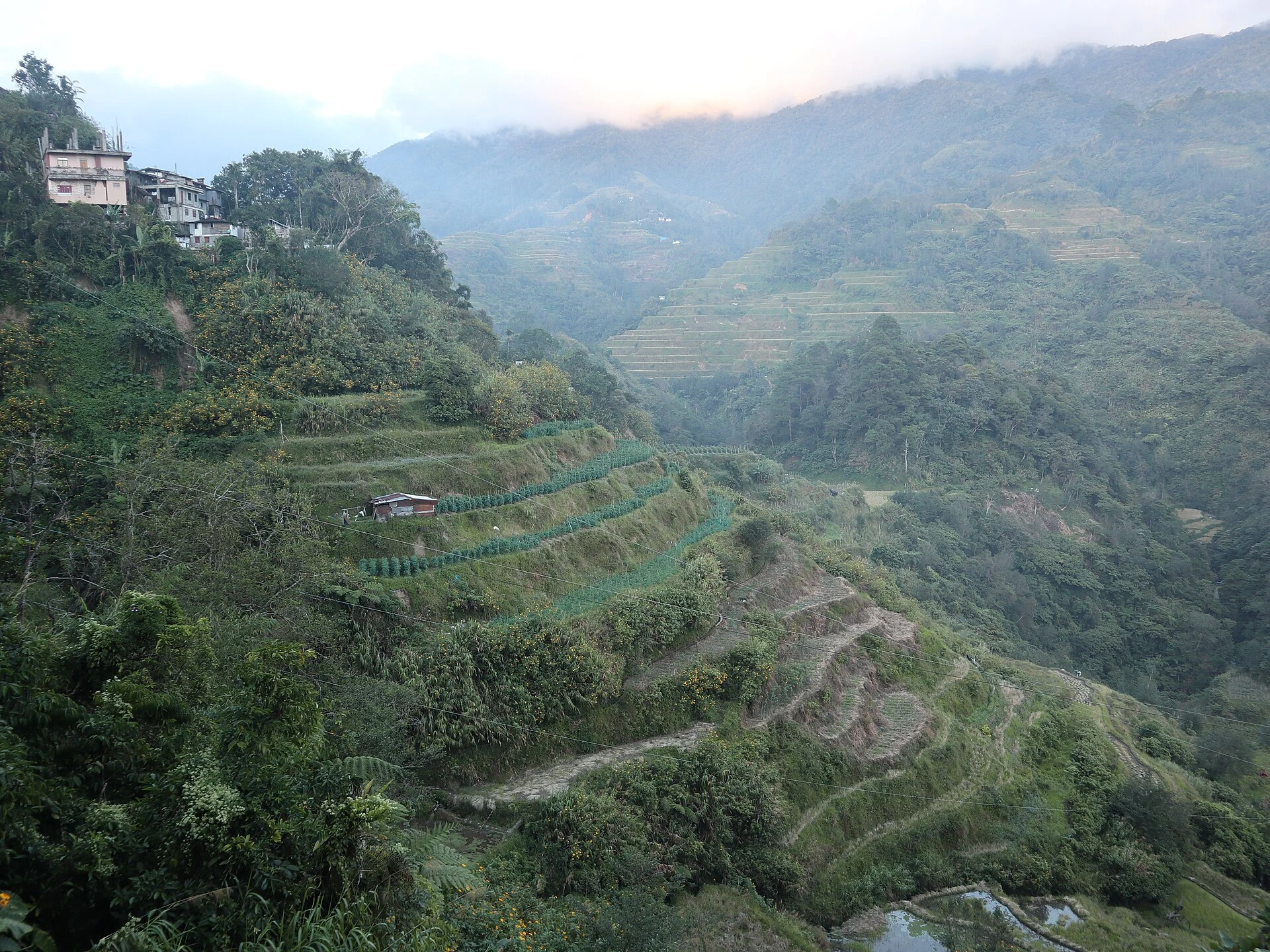 Canal de riego y muro de piedra junto a un arrozal en terrazas de Ifugao.