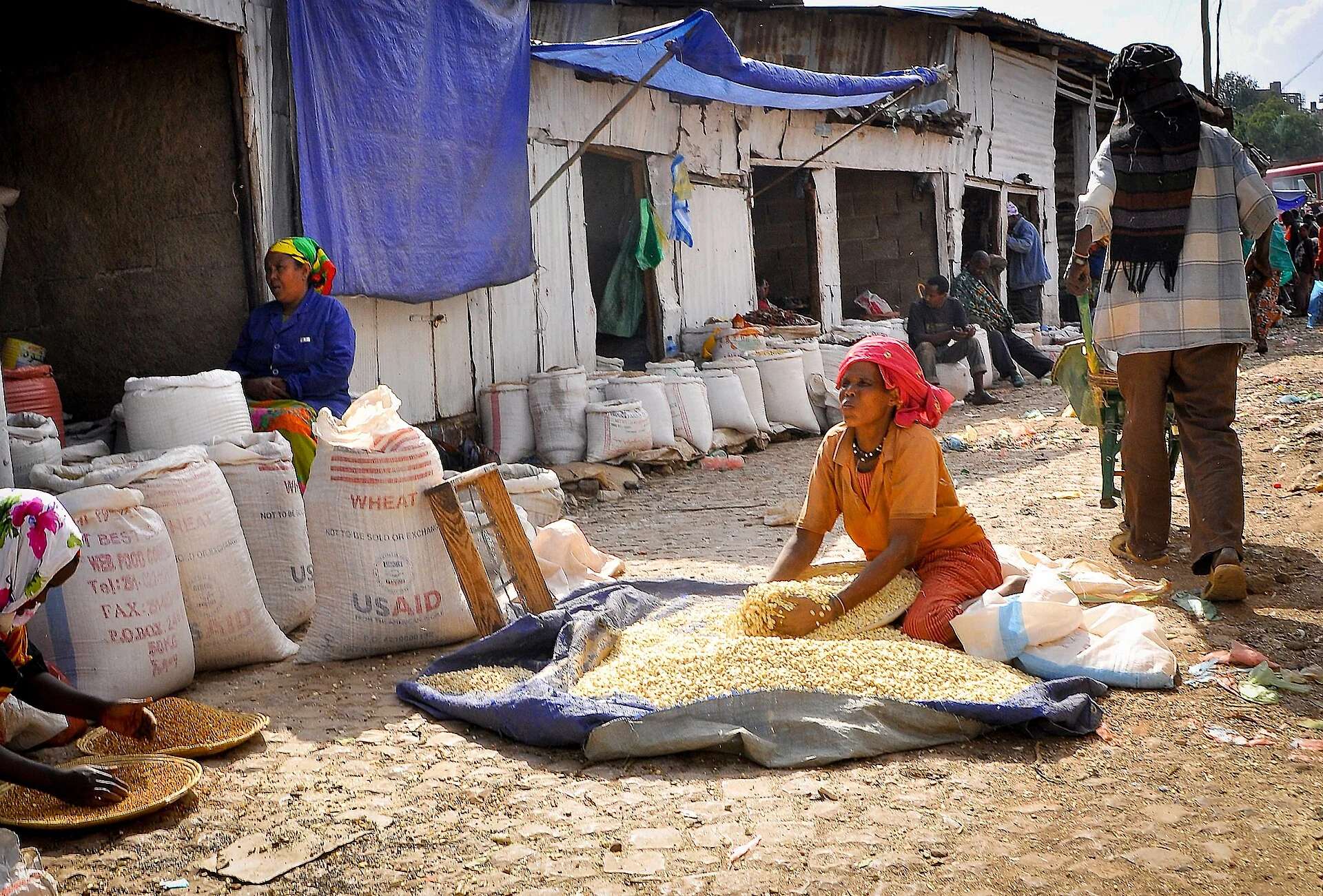 Harar Jugol: casas, mezquitas y condiciones para visitar la ciudad