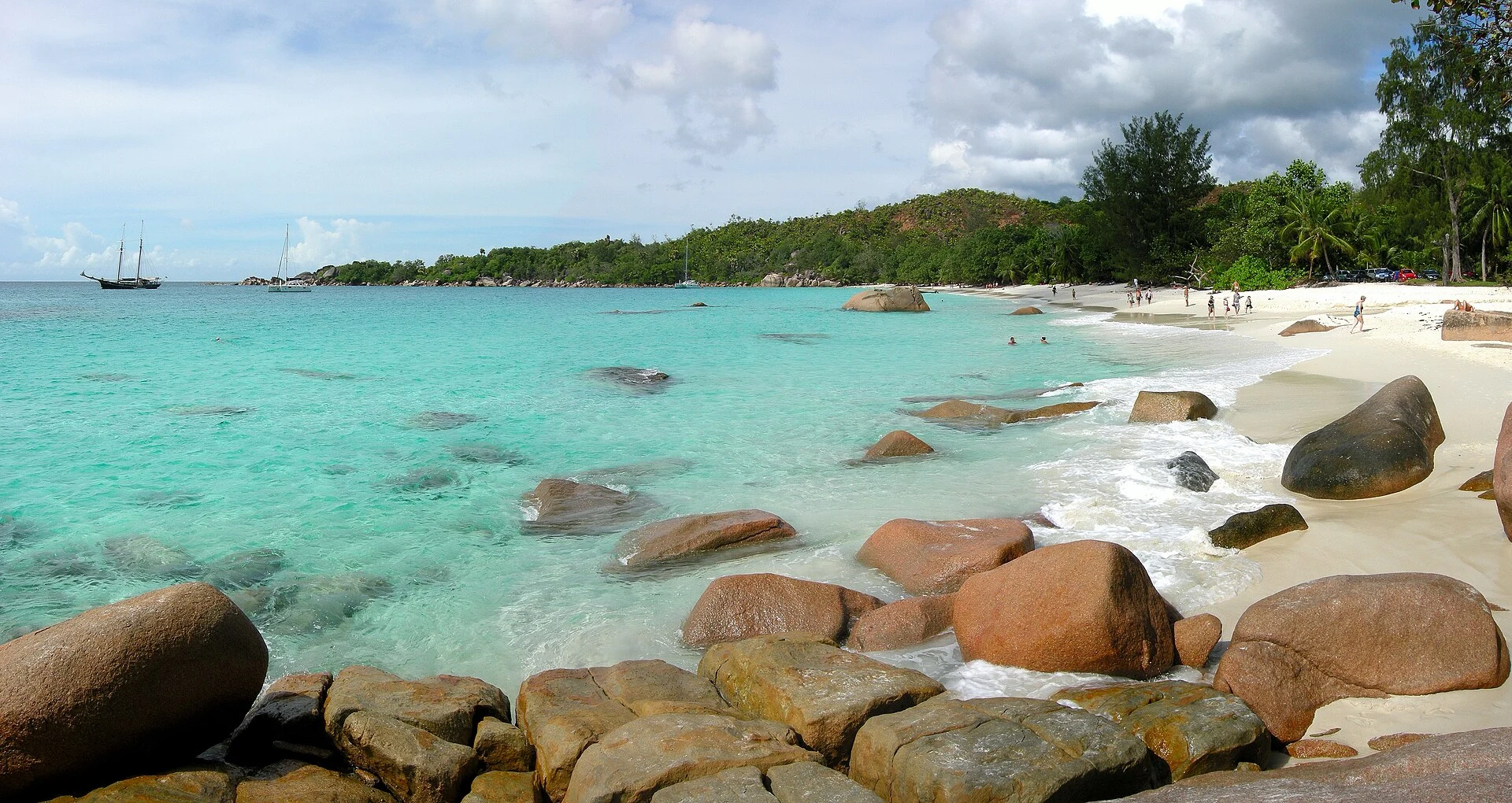 Dosel de palmas de coco de mar en la reserva Vallée de Mai, Praslin.