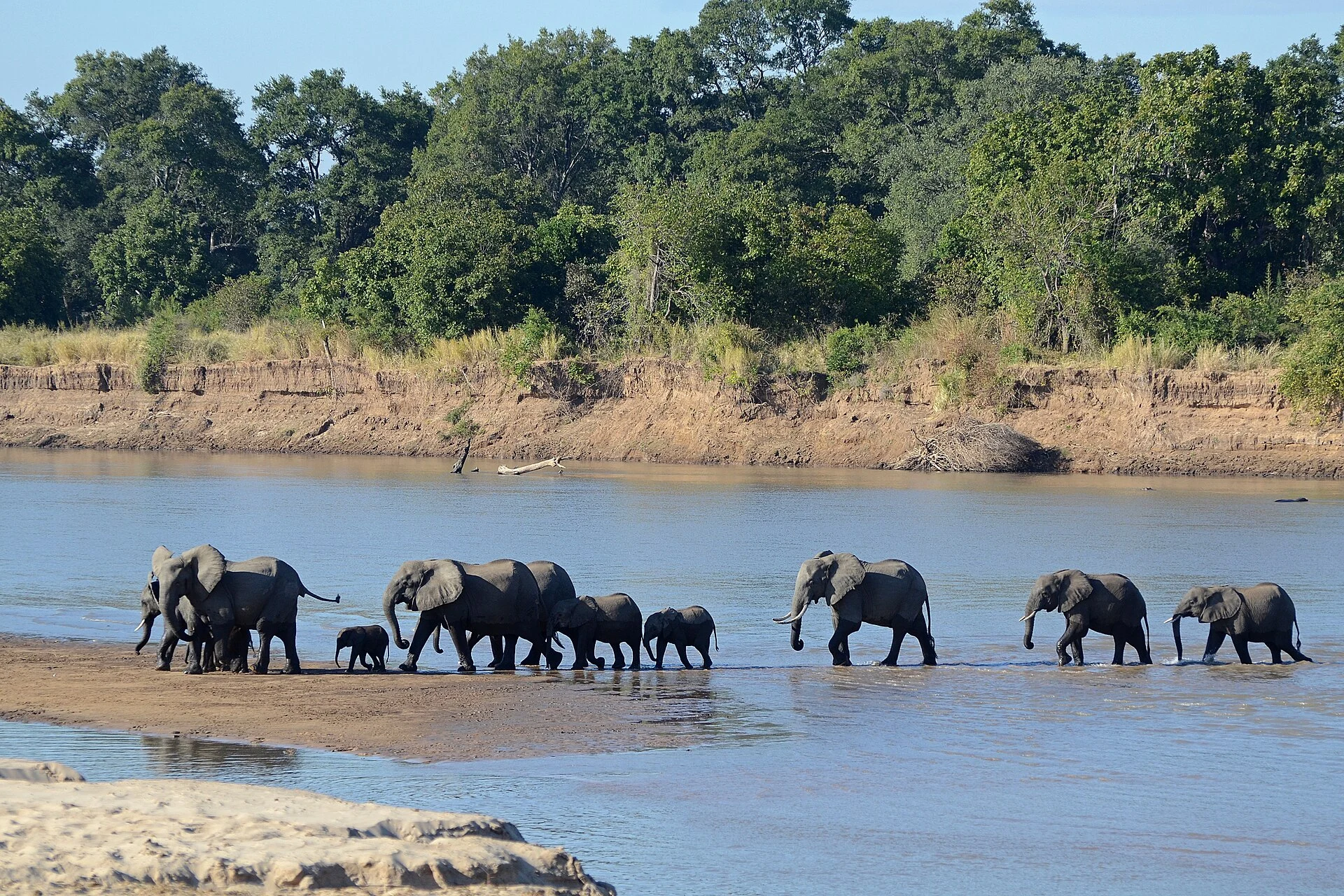Río Luangwa y vegetación de ribera en el Parque Nacional South Luangwa.