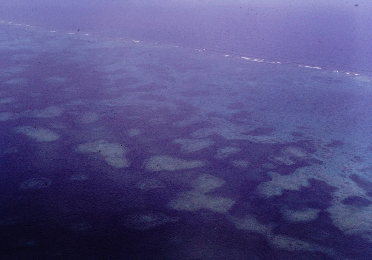 Snorkelistas observan el arrecife de Andros sin tocar los corales.