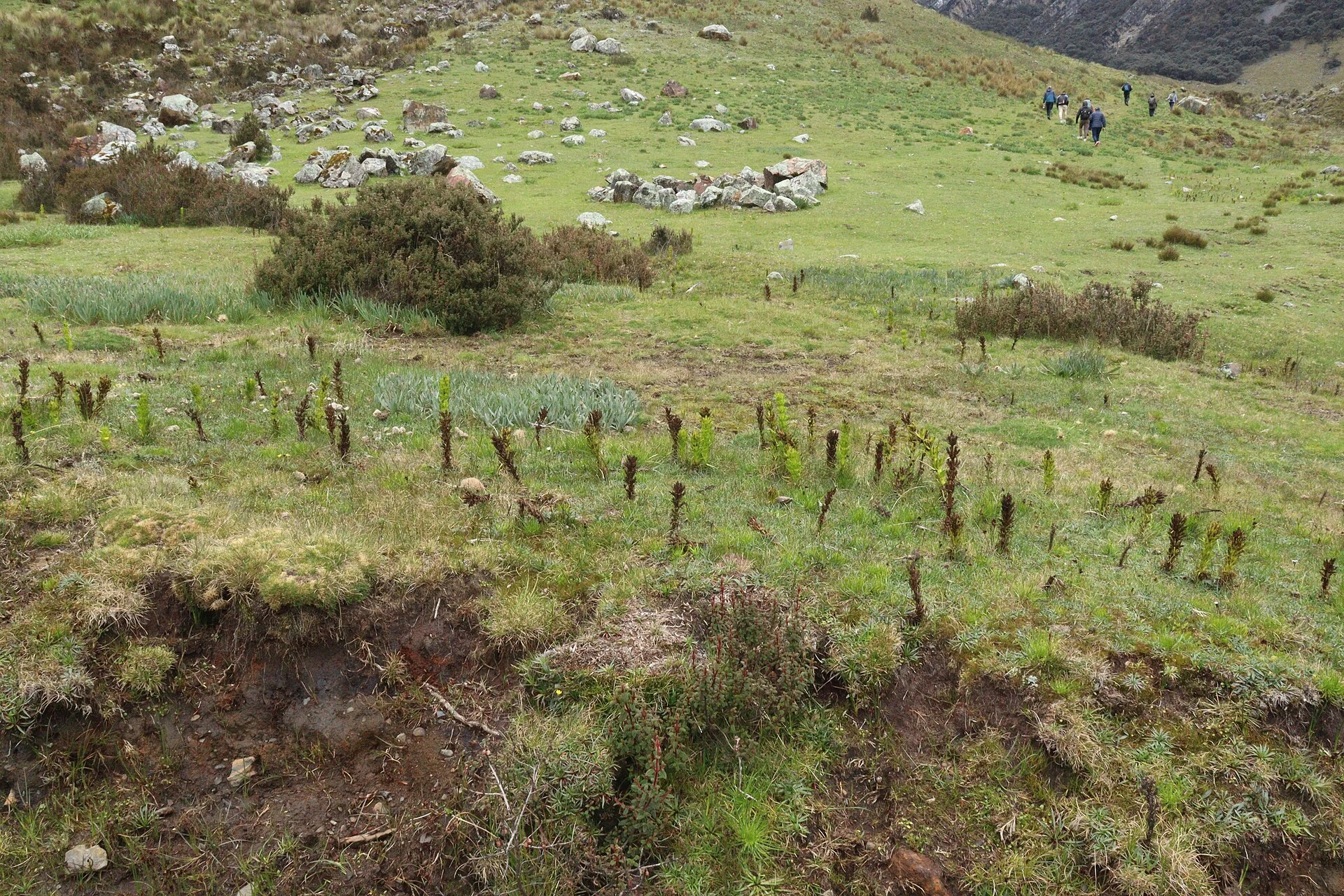 Valle andino y entorno urbano de Chavín de Huántar, en Áncash.