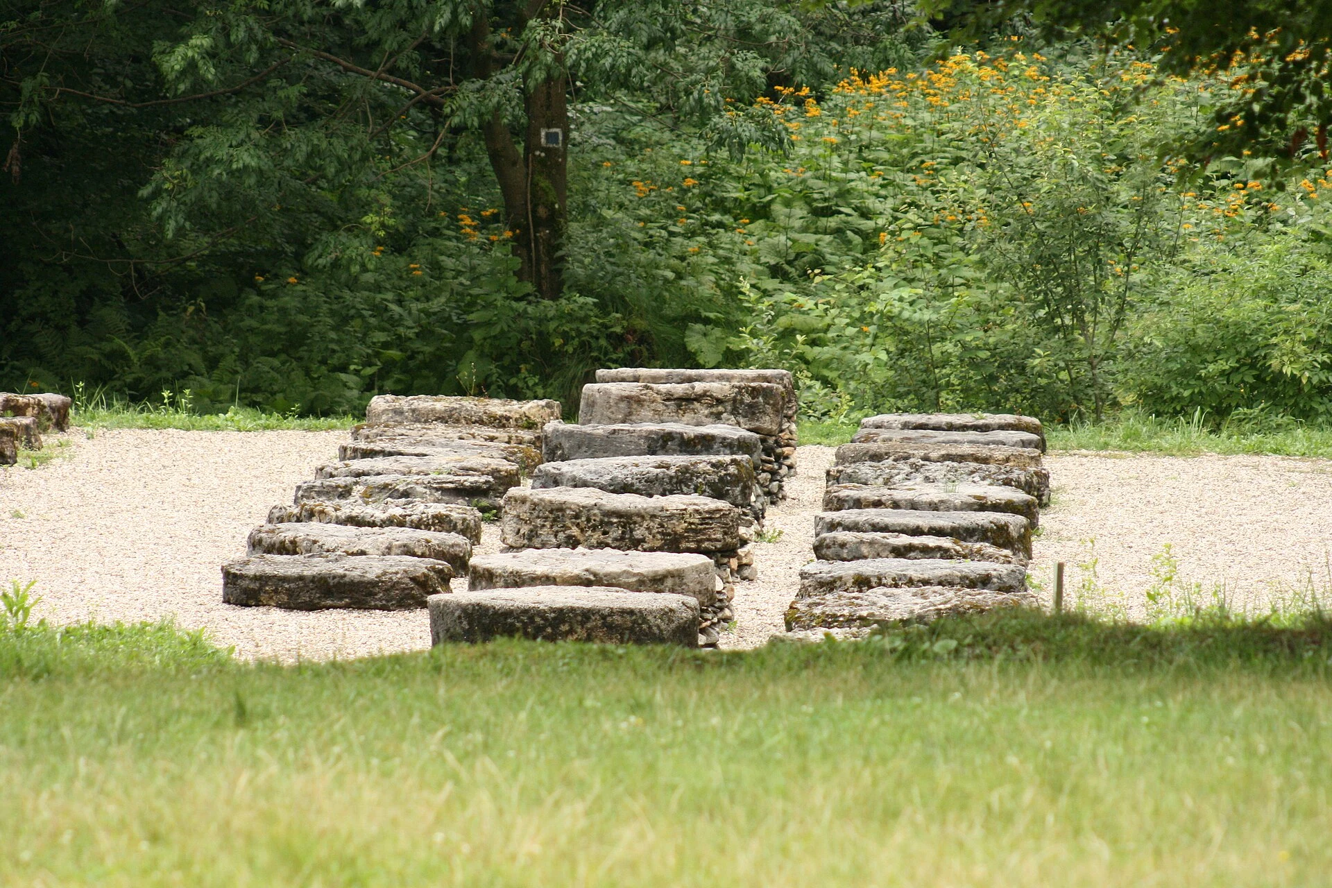 Sendero de visita entre árboles y estructuras arqueológicas de Sarmizegetusa Regia.