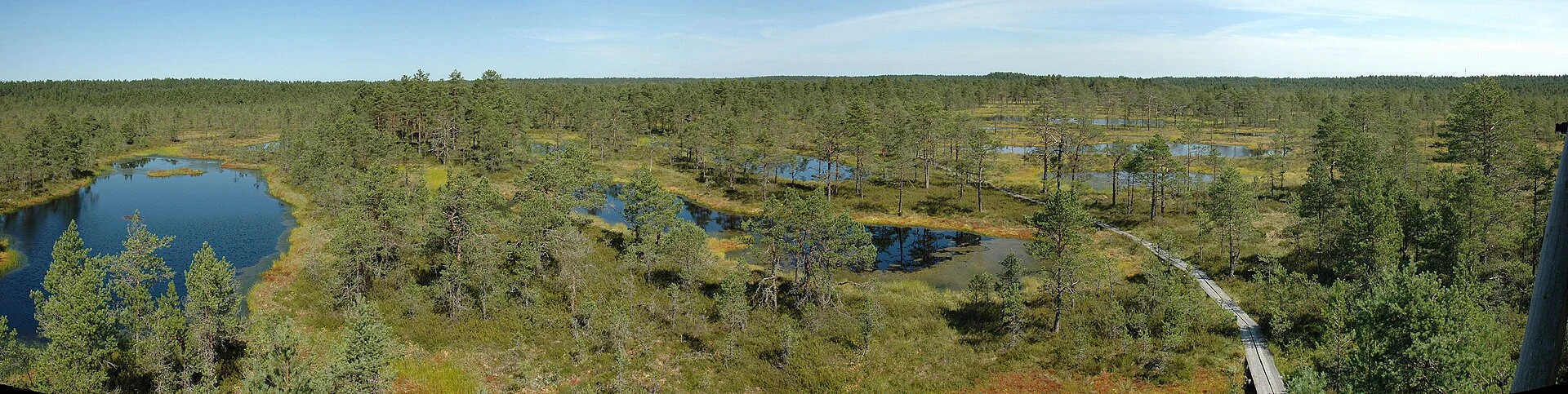 Pasarela de madera sobre la turbera de Viru en el Parque Nacional de Lahemaa.