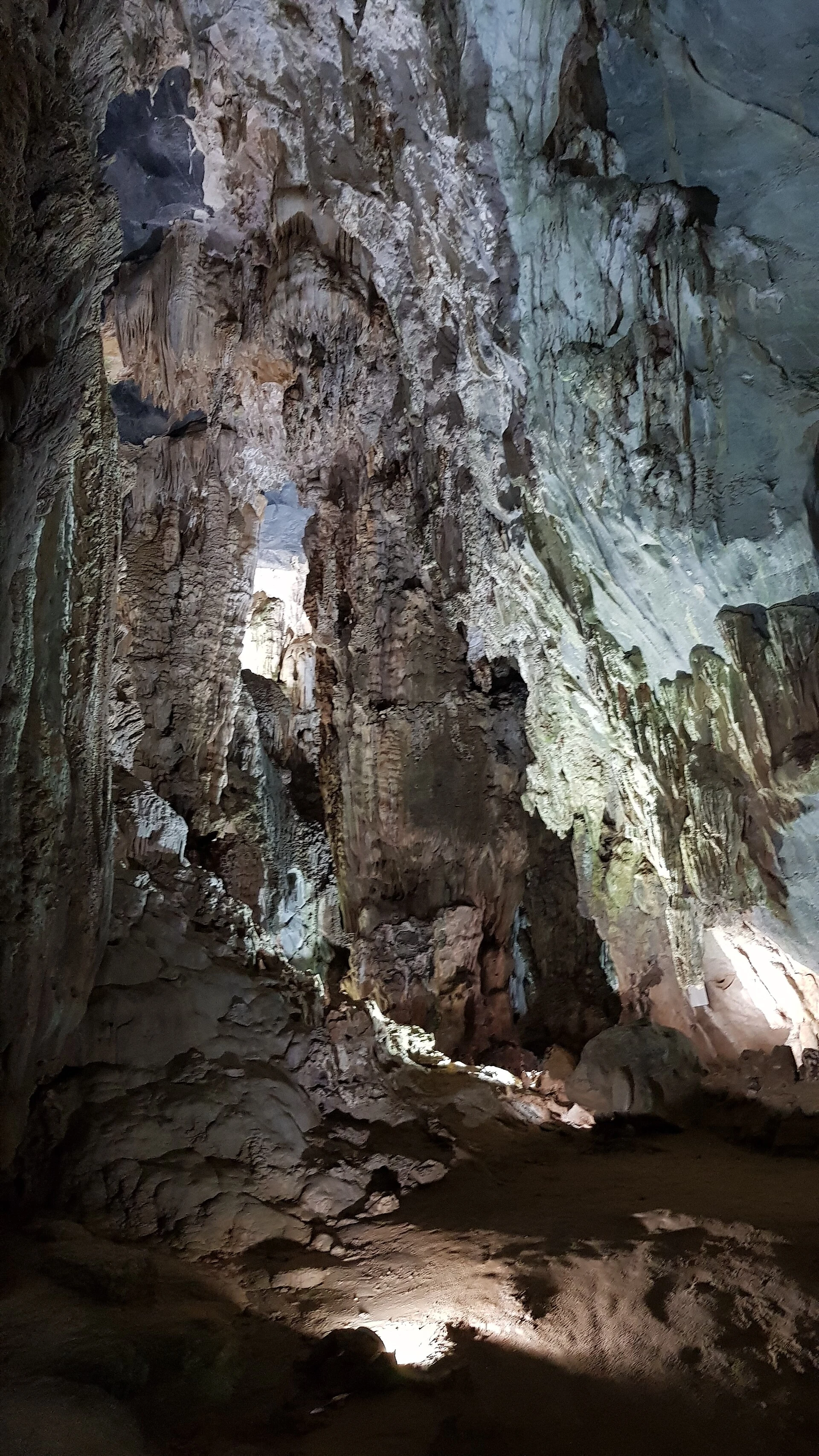 Bosque y relieve kárstico en el entorno de Pygmy Cave.