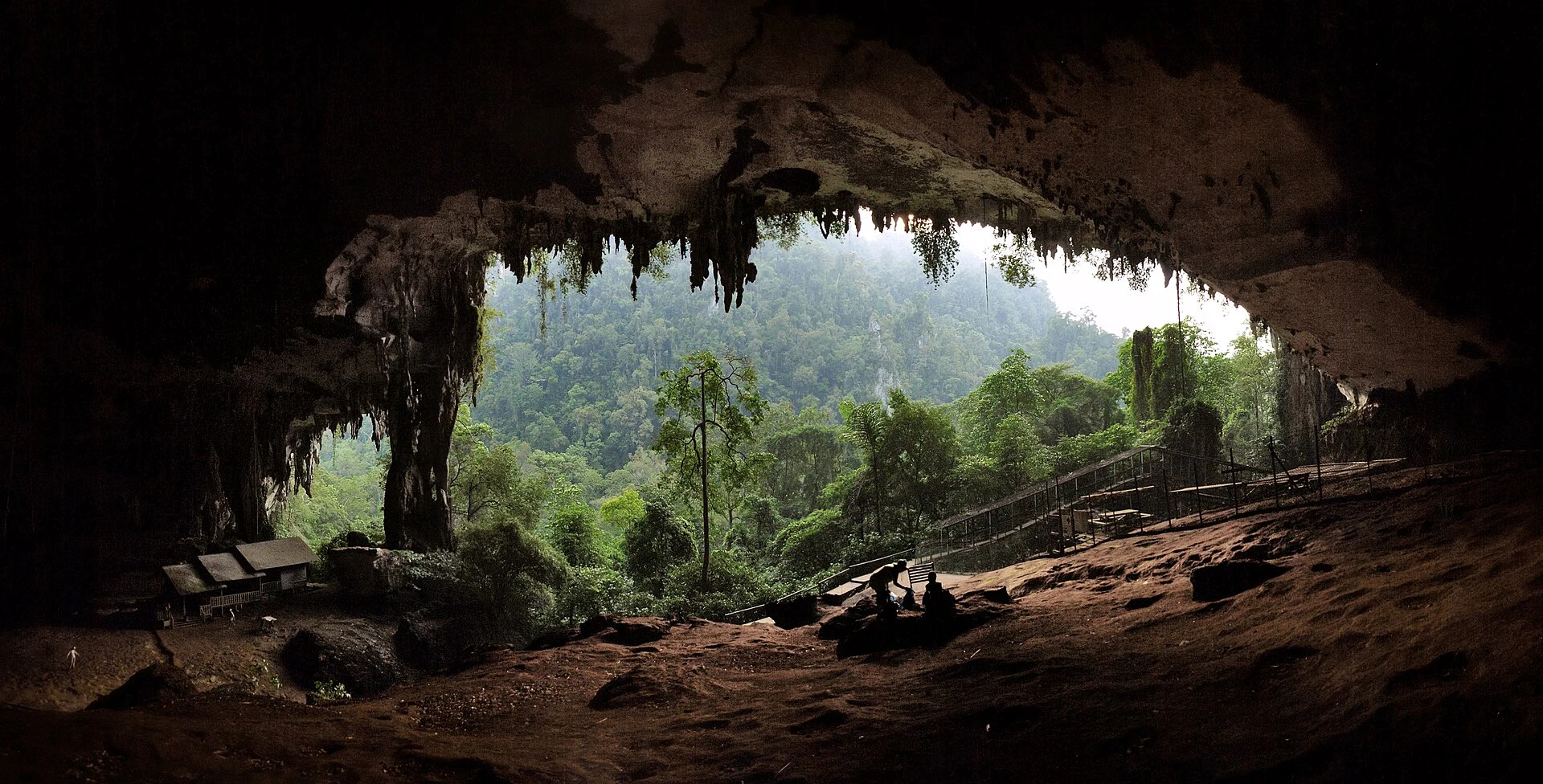 Pasarela elevada entre la selva hacia la Gran Cueva de Niah.