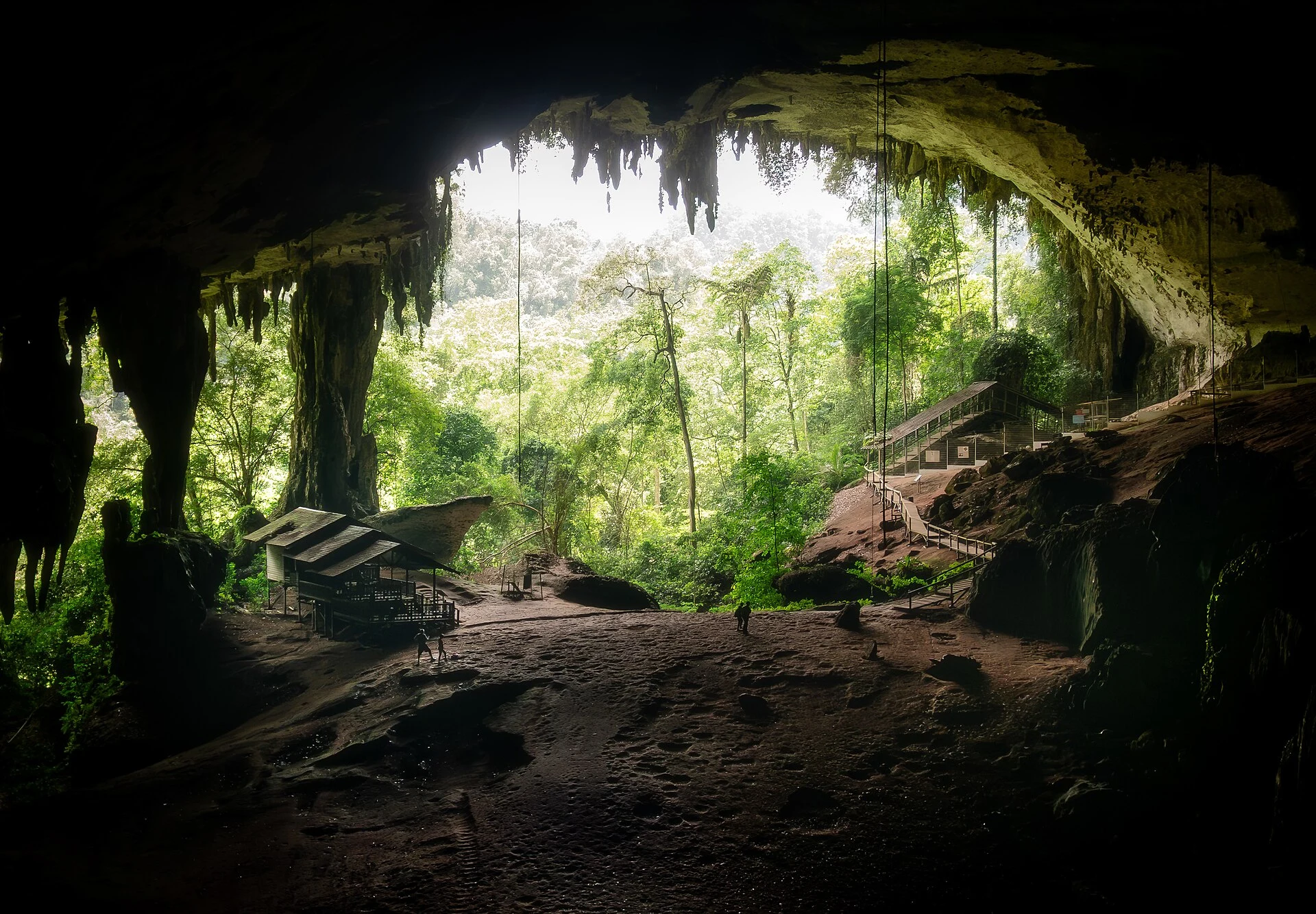 Sendero de bosque en dirección a la Cueva Pintada de Niah.