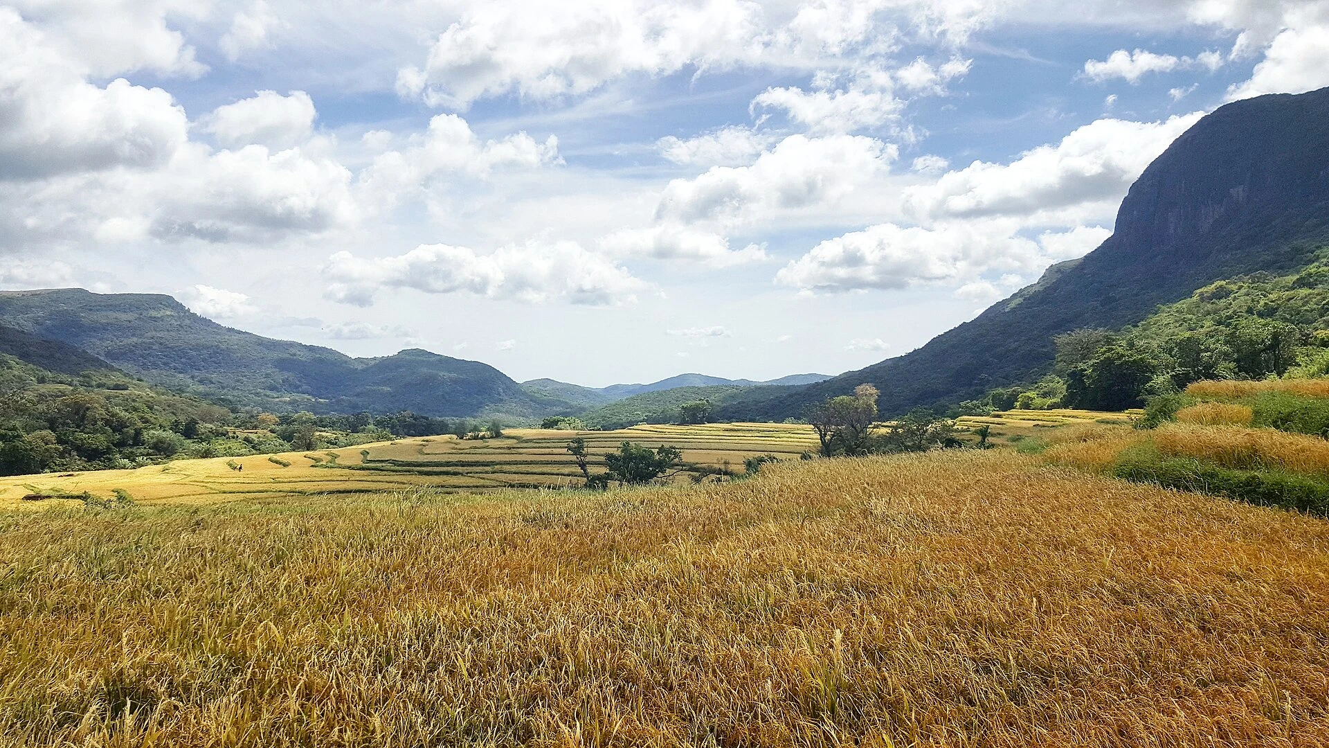 Pastizal de Pitawala Pathana con vistas hacia un valle de las montañas Knuckles.