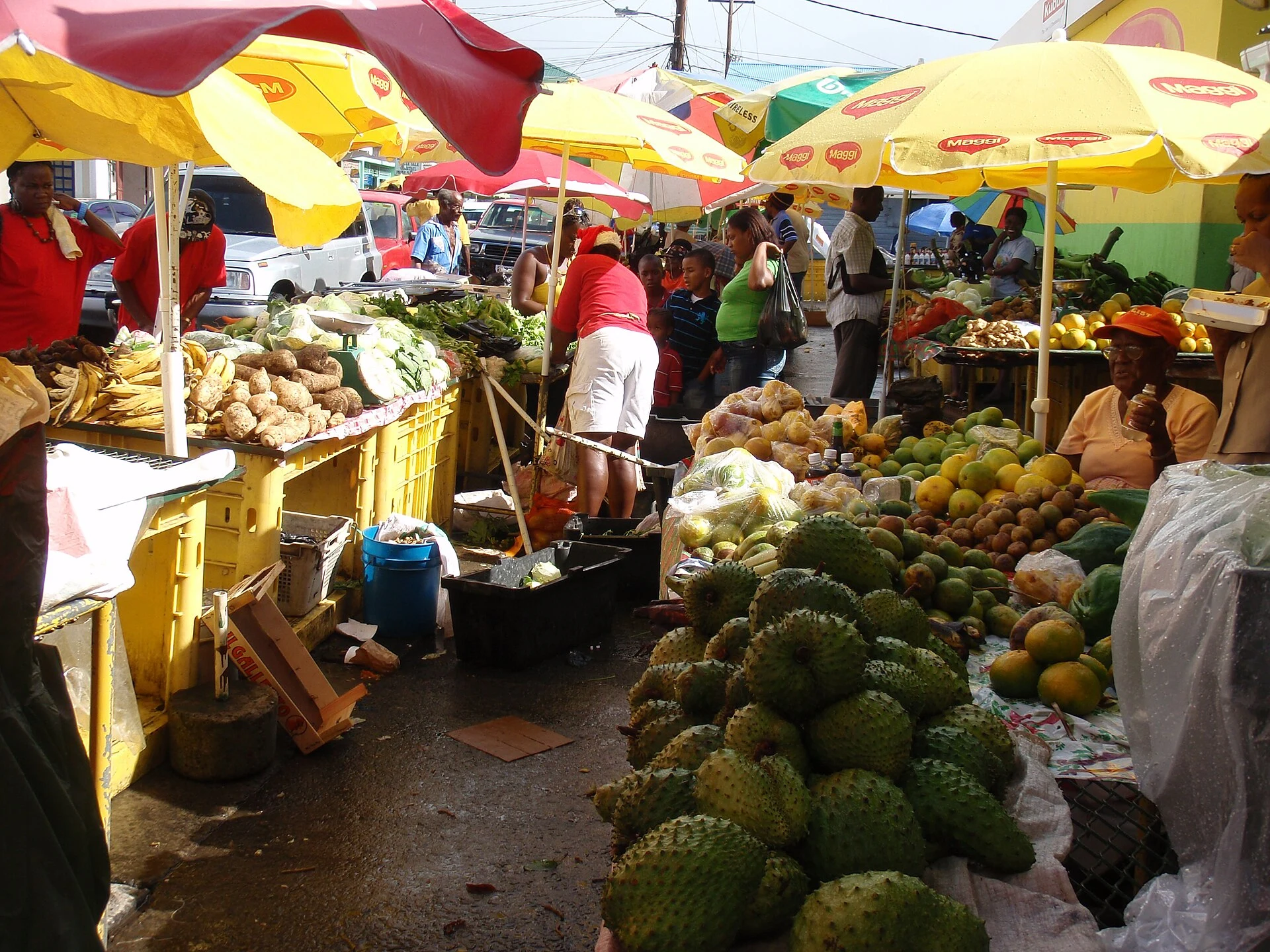 Vista urbana de Roseau, capital de Dominica.