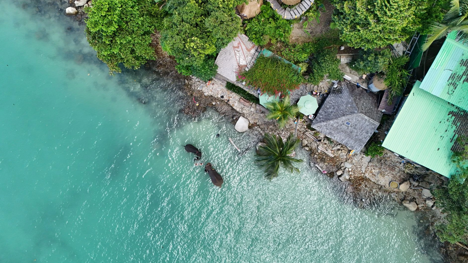 Costa insular tropical como contexto visual de Islas Salomón