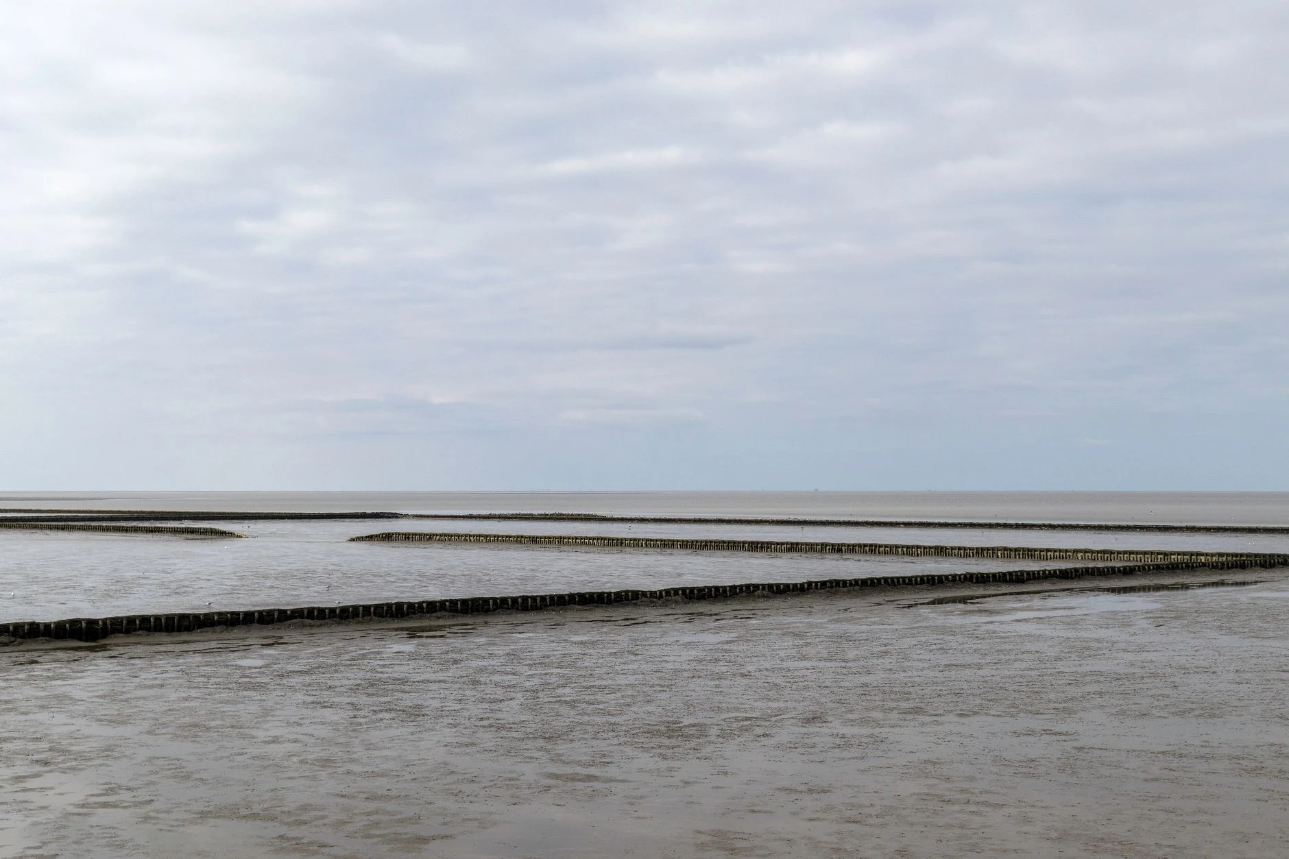 Llanuras intermareales y espigones en la costa de Norden, Alemania.
