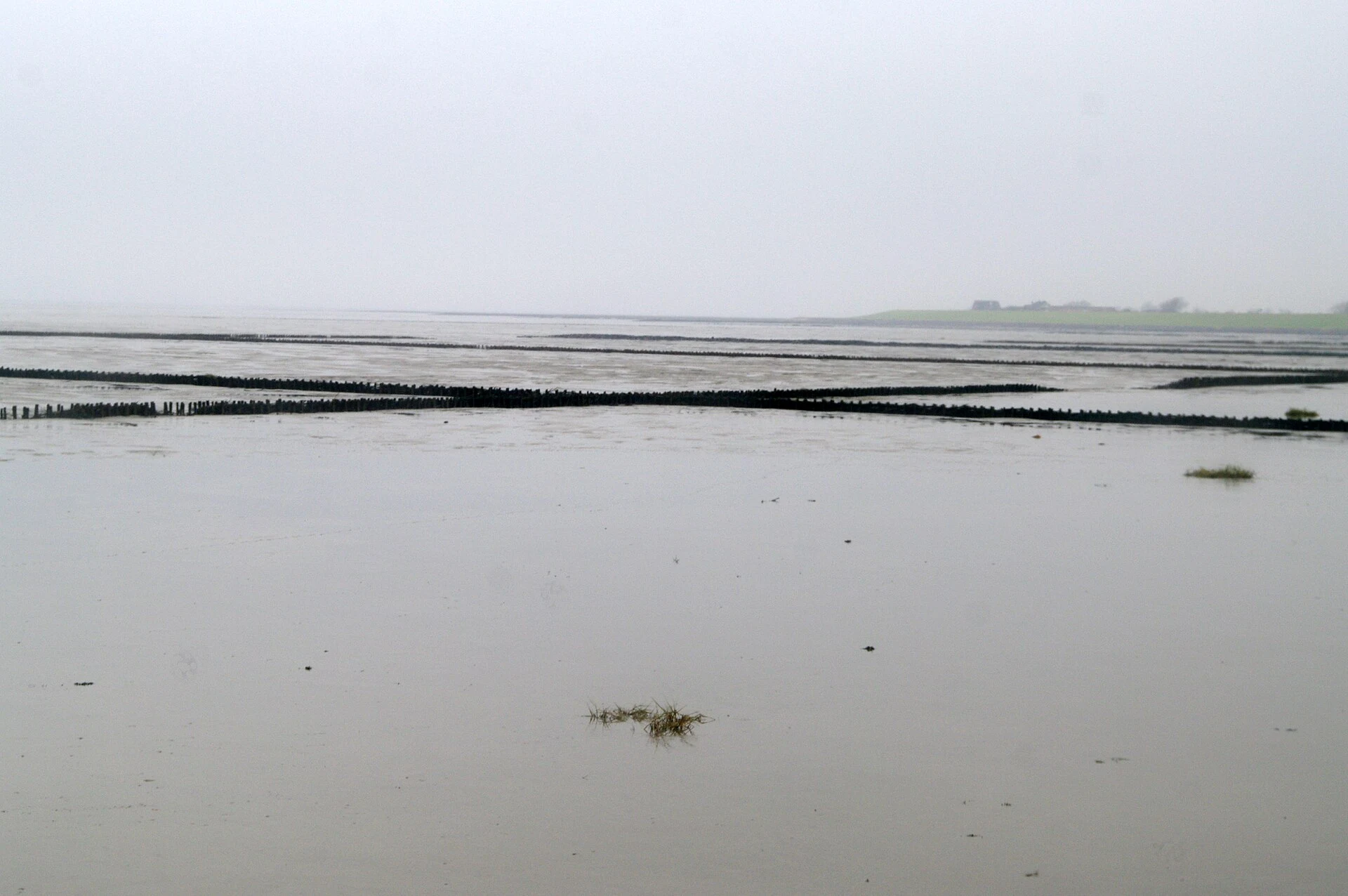 Mar de Wadden en Alemania: diques, Watt guiado y Hallig Hooge