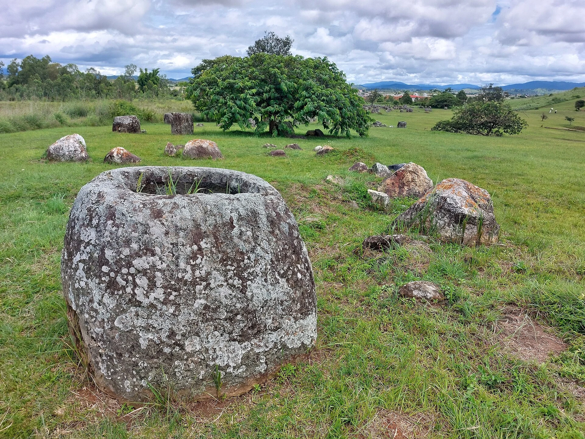 Jarras de piedra y un árbol en el sitio 1 de la llanura de las Jarras, Laos.