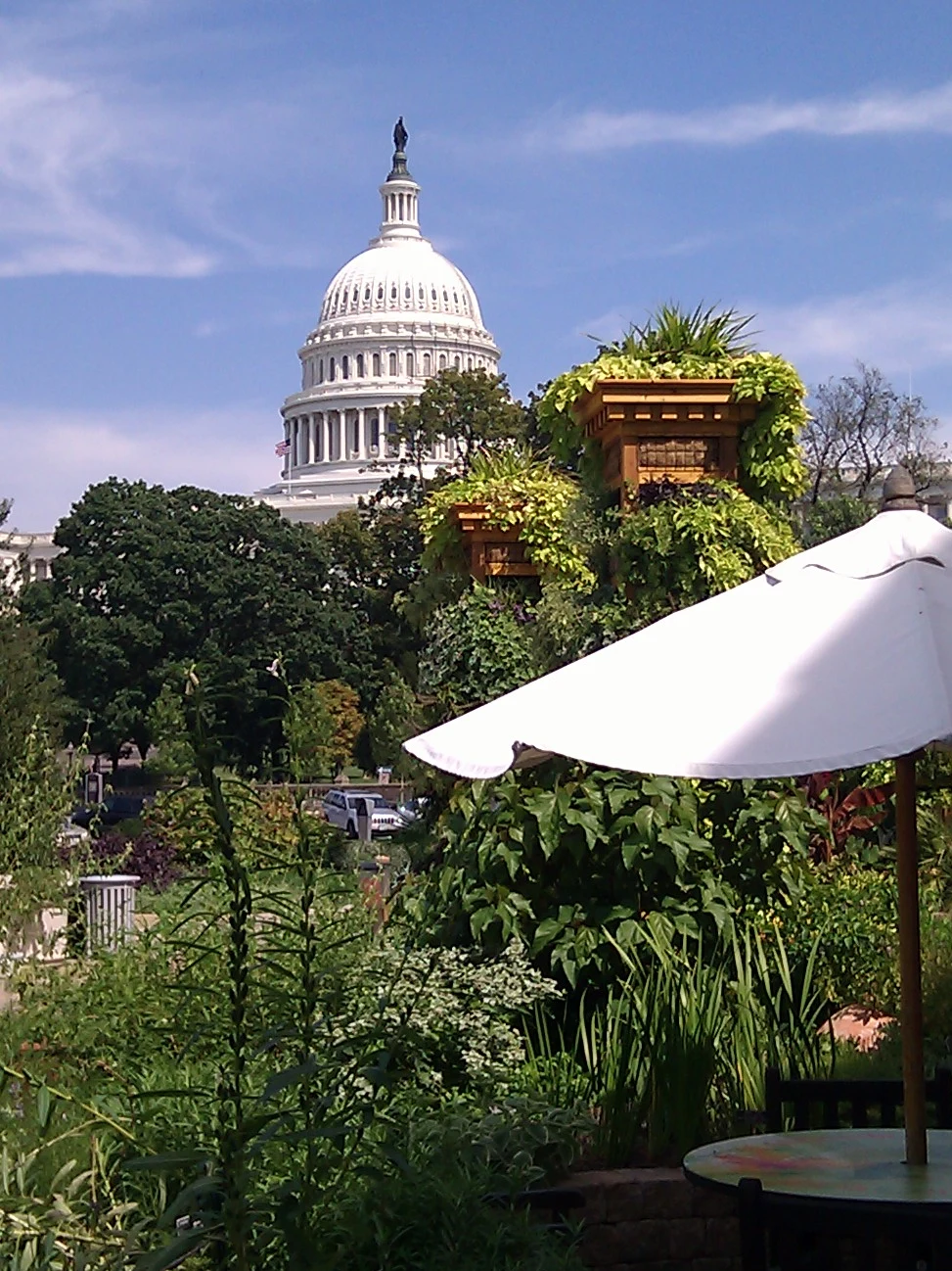 Edificio del Capitolio en Washington D. C.
