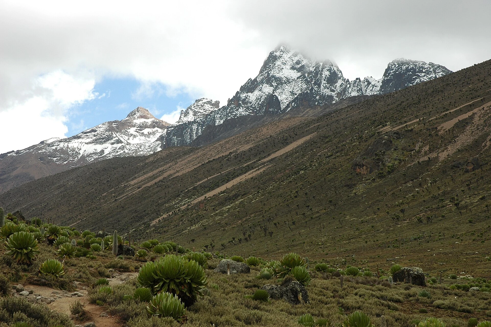 Sendero de la ruta Sirimon entre vegetación afroalpina del monte Kenia.