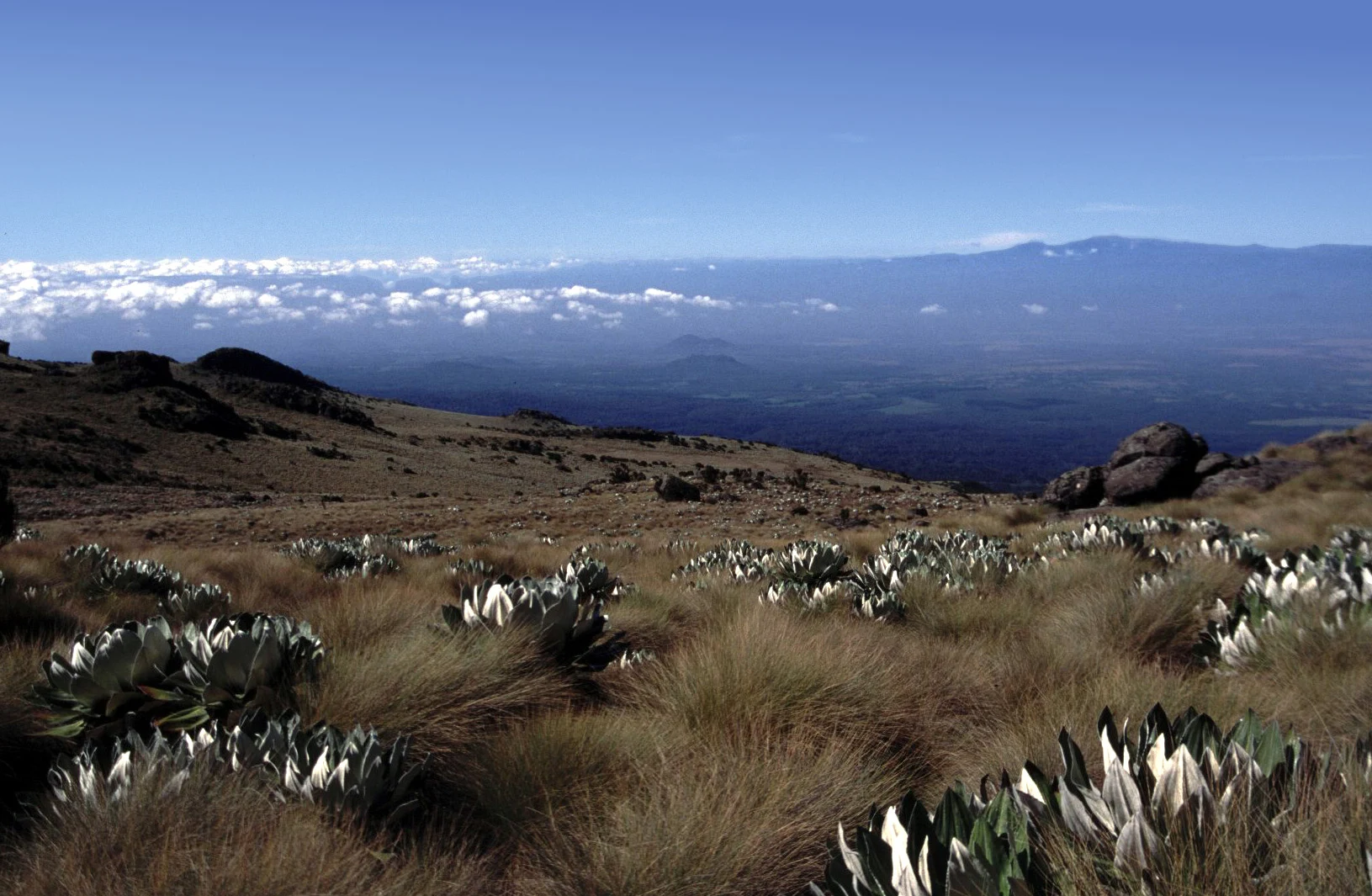 Point Lenana visto desde una aproximación de trekking en el monte Kenia.