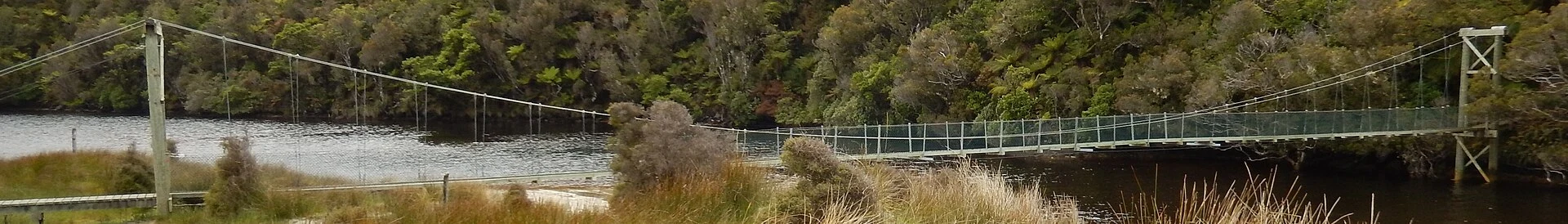 Maori Beach, con bosque nativo y costa en el Rakiura Track.