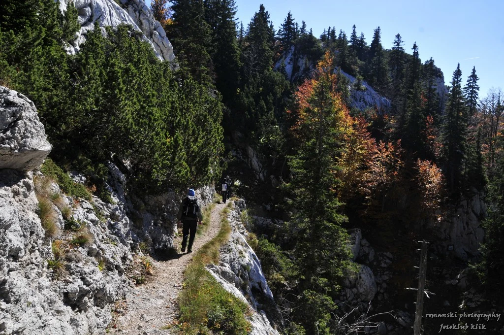 Senderista en la senda Premužićeva entre karst y hayas del Velebit septentrional.