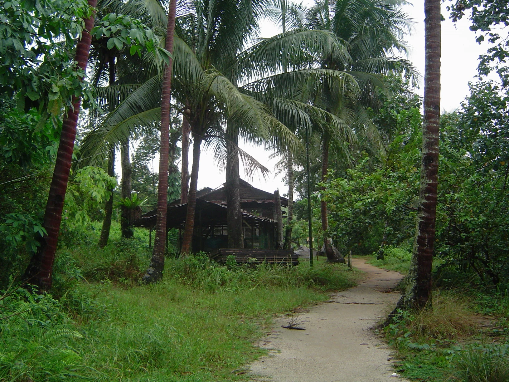 Pasarela costera entre manglares en los humedales de Chek Jawa, Pulau Ubin.