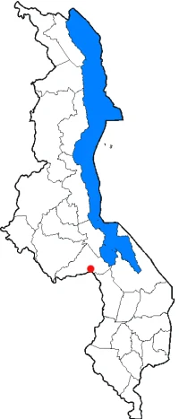 Dedza