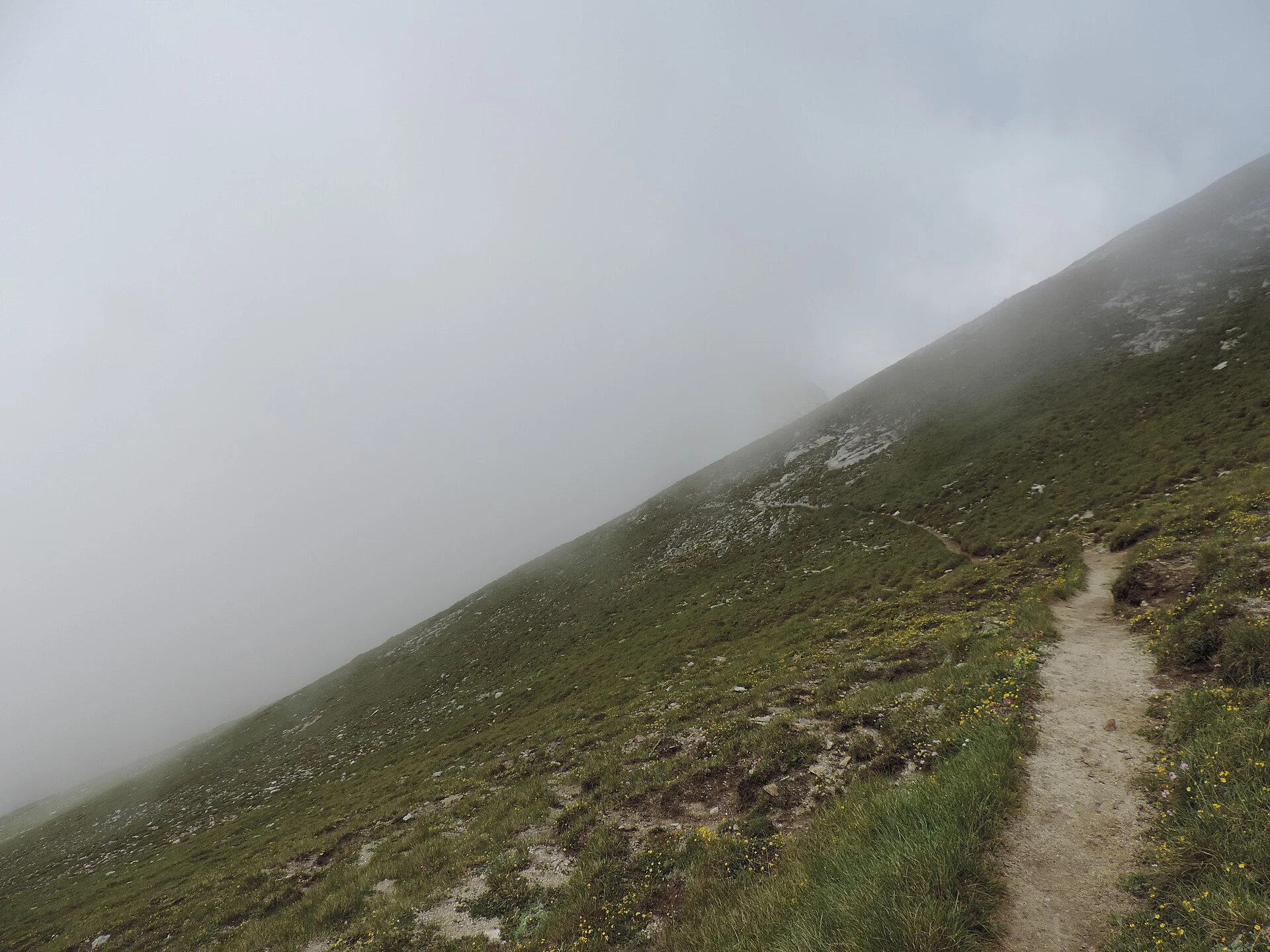 Pirin National Park