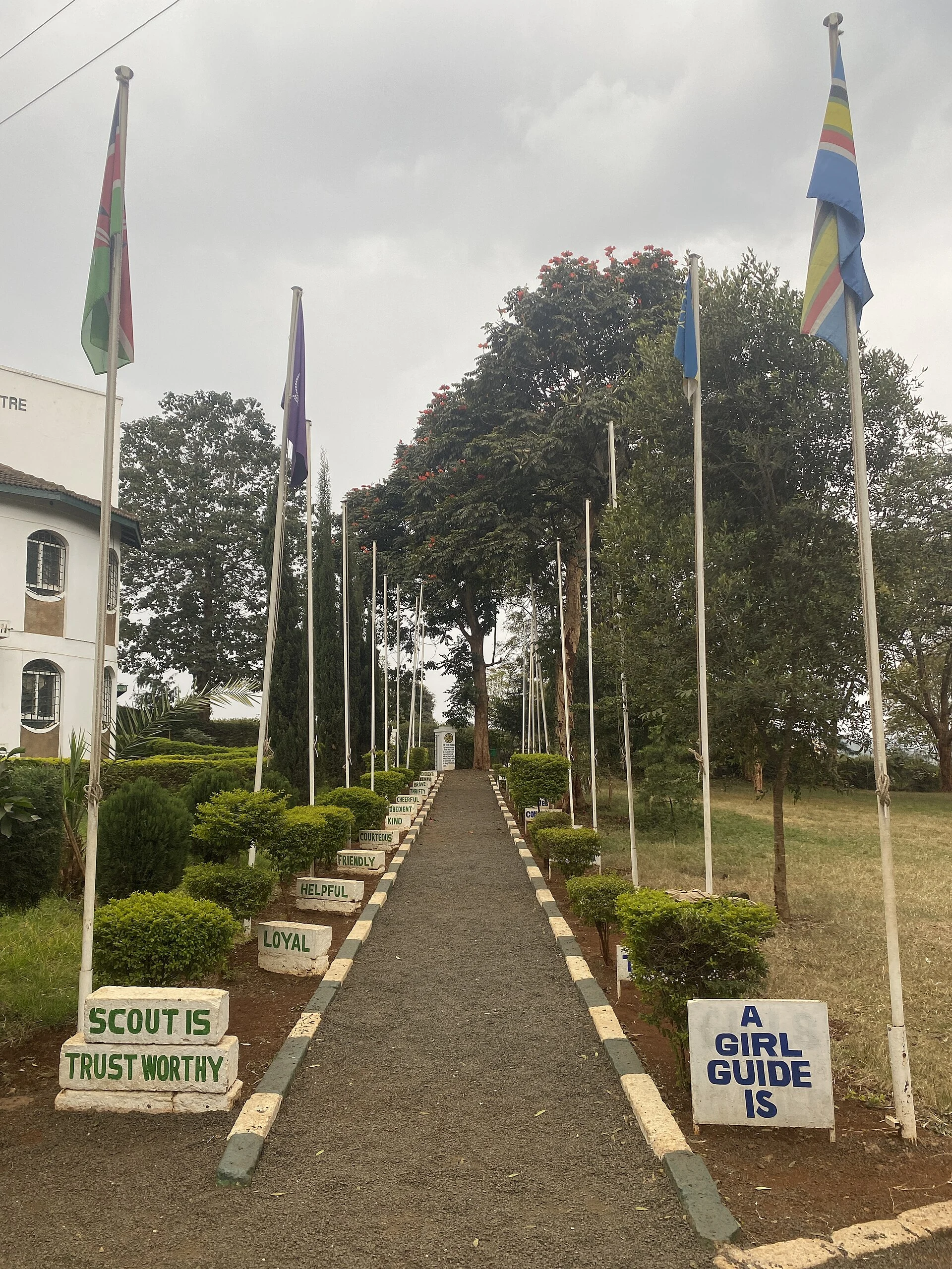 Nyeri