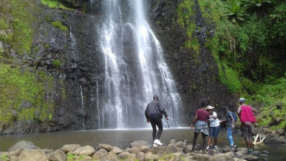 Nyeri