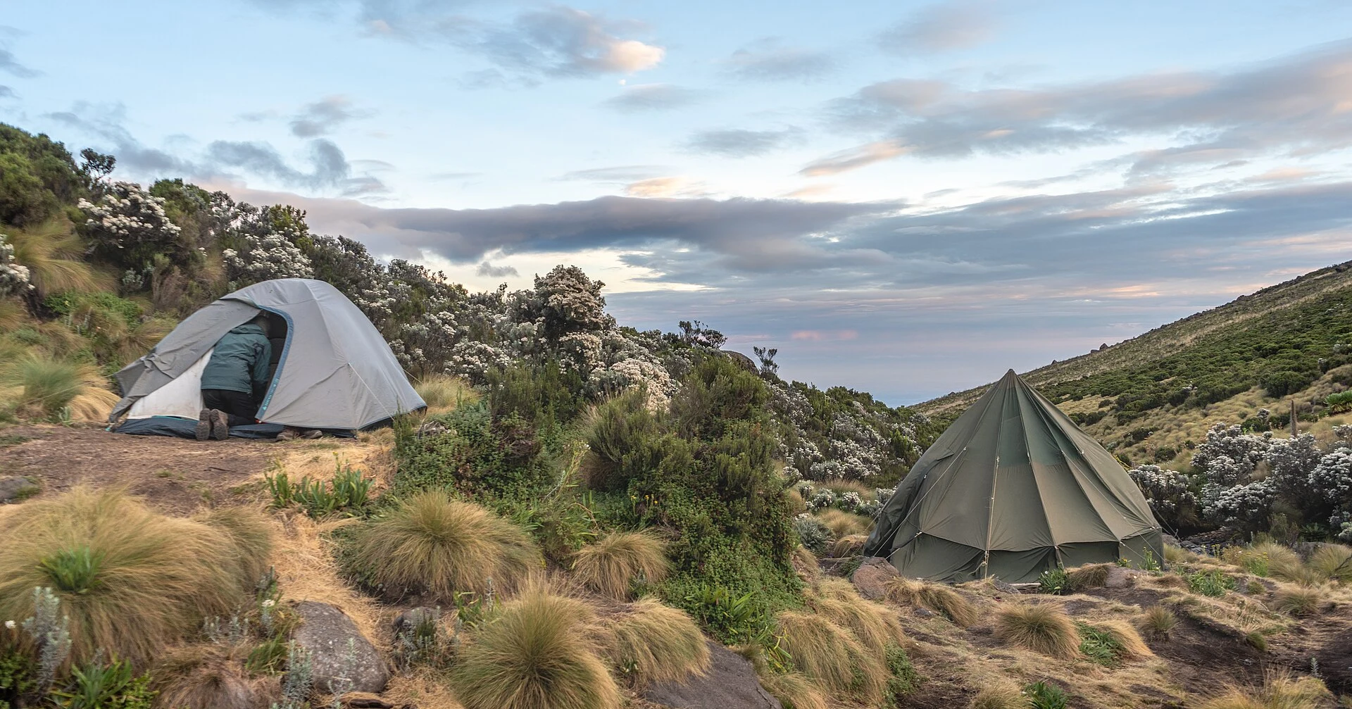 Mount Kenya National Park