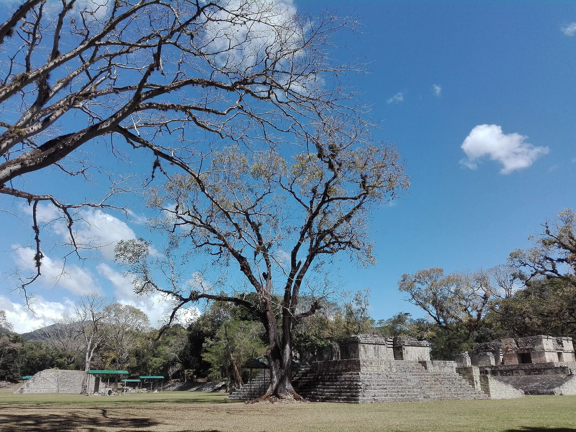 Copán Ruinas