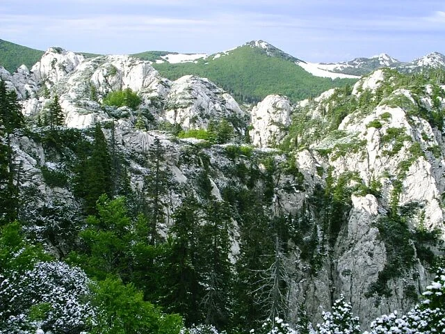 Rožanski Kukovi